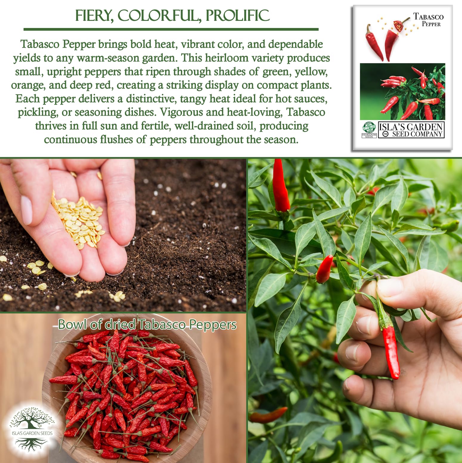 tobacco peppers Amazon.com : Tabasco Red Hot Chili Pepper Seeds (Capsicum frutescens) – 50+  Non-GMO Heirloom Seeds by Isla's Garden Seeds, Fiery Compact Variety  Producing Red Peppers w Bold Tangy Heat, Hot Sauces, Salsas