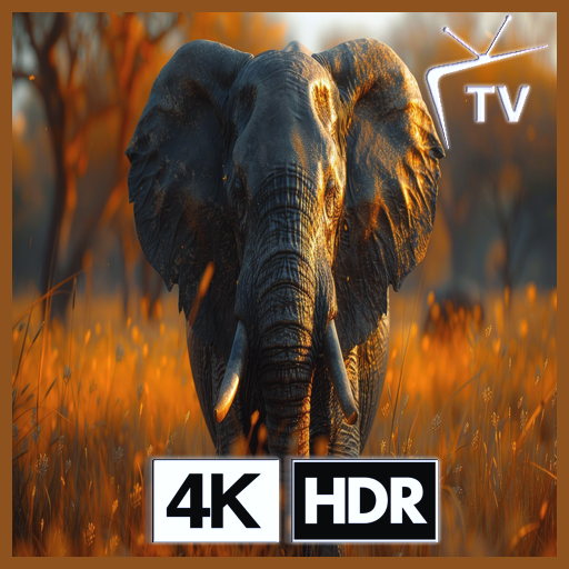 Elefanten-Safari – Spaziergang durch die afrikanische Savanne: Staunen in der Tierwelt