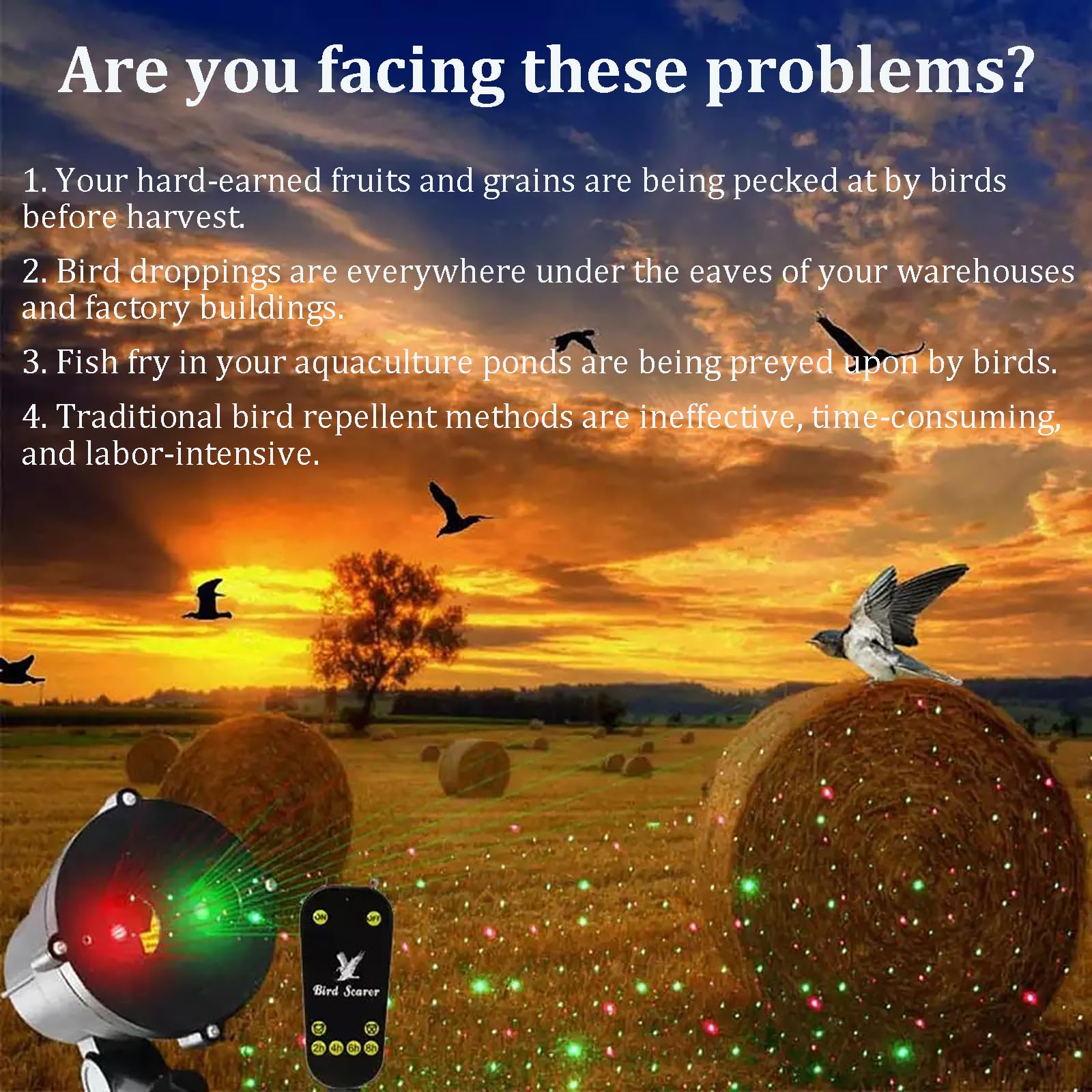 Ahuyentador de Pájaros Láser Exterior con Temporizador y Control Remoto, Dispositivo Automático para Palomas, Gorriones, Estorninos, Jardín y Granja