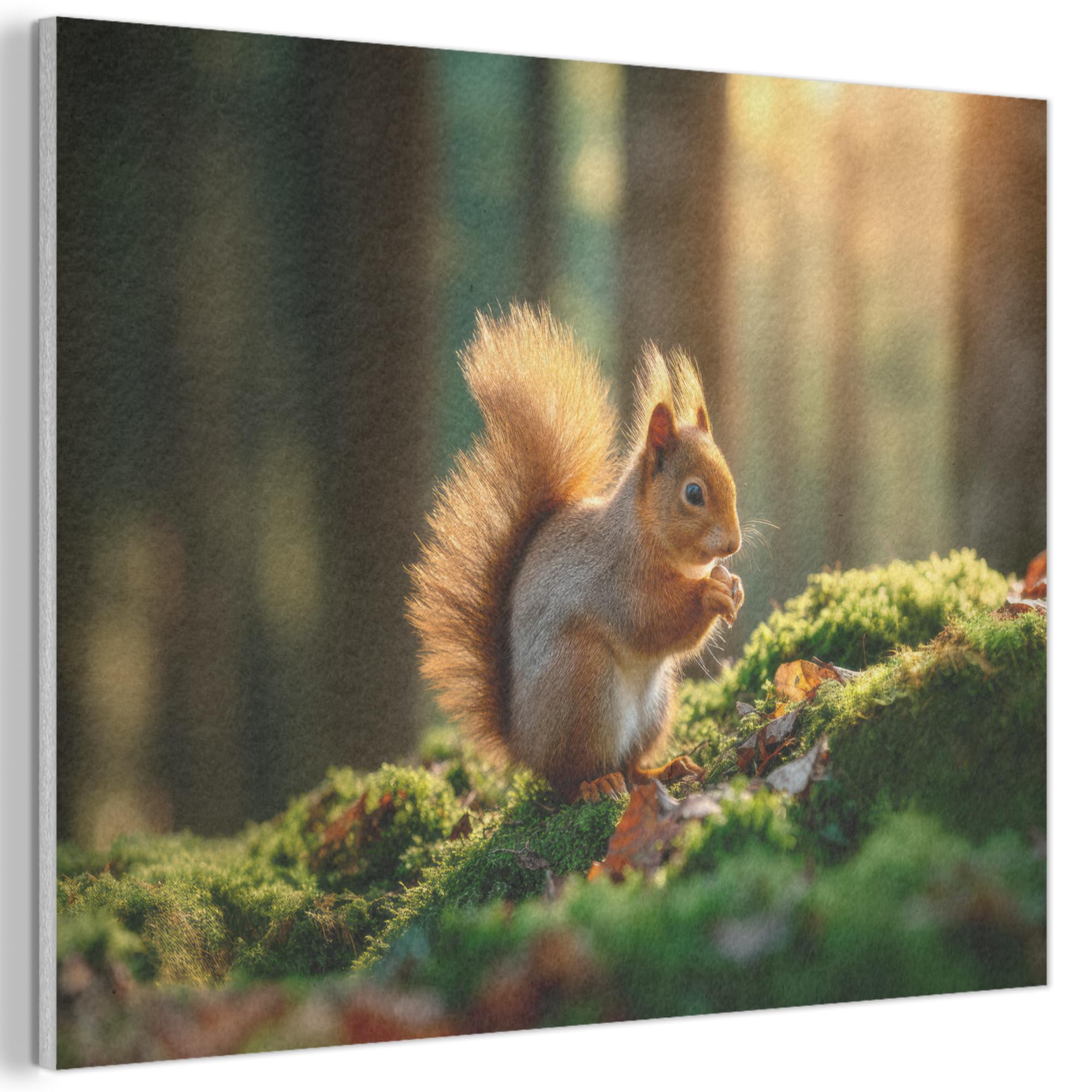 MuchoWow© Felt Panel 100x70 cm Framed Design Print Accent Interior Wallart Decoration Wall Art Squirrel - Nut - Grass