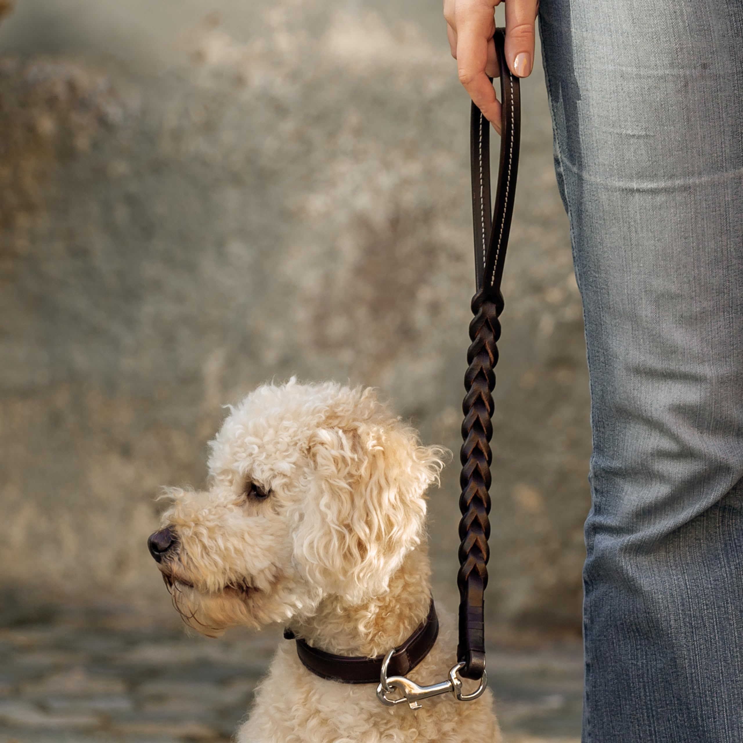 Gusti Leder Guinzaglio in pelle Hartwin – Guinzaglio corto per cani, guinzaglio stradale, guinzaglio per allenamento in pelle marrone