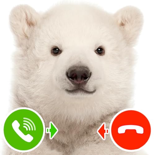 Polar Bear Cub Fake Call