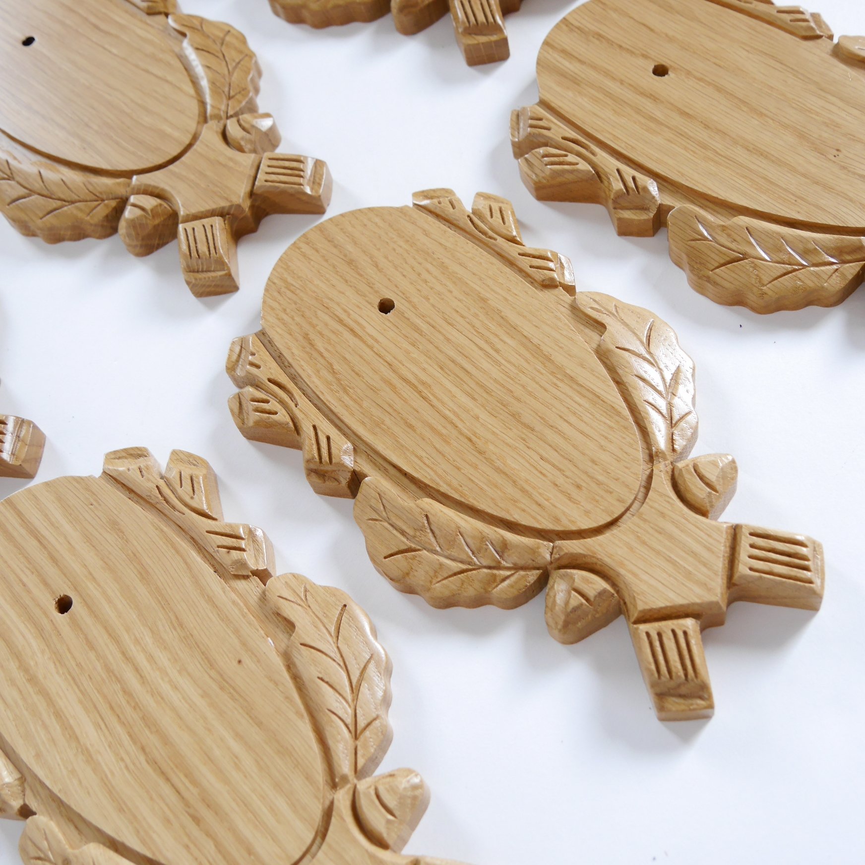 5 pieza de diseño de corzo talladas trofeo carteles claro + 5 unidades gehörn grapas