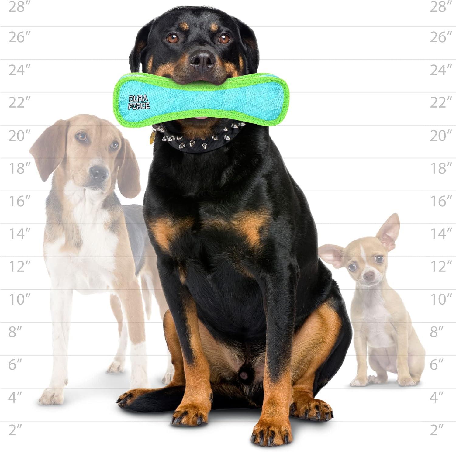 DURA FORCE - Durable Woven Fiber Dog Toy - Multiple Layers. Made Durable, Strong & Tough. Interactive Play (Tug, Toss & Fetch). Machine Washable & Floats (Bone Blue, Large 2 Pack)