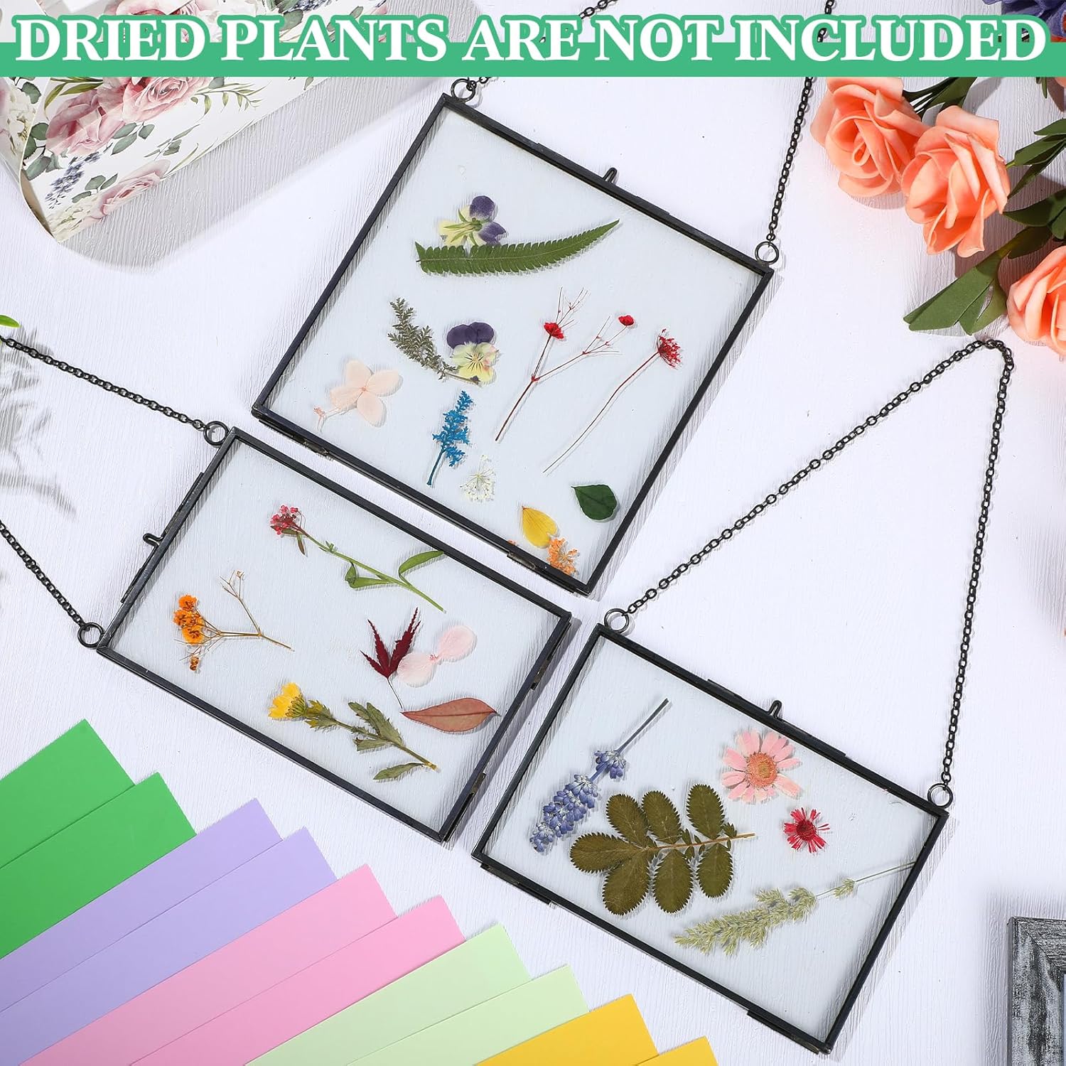 Geetery 9 Pcs Glass Frame for Pressed Flowers 6x4 4x6 6x6 in Black Hanging Picture Frames Metal Floating Double Glass Display Frame with Chain for Dried Flower Plant Specimen DIY Artwork Wall Decor