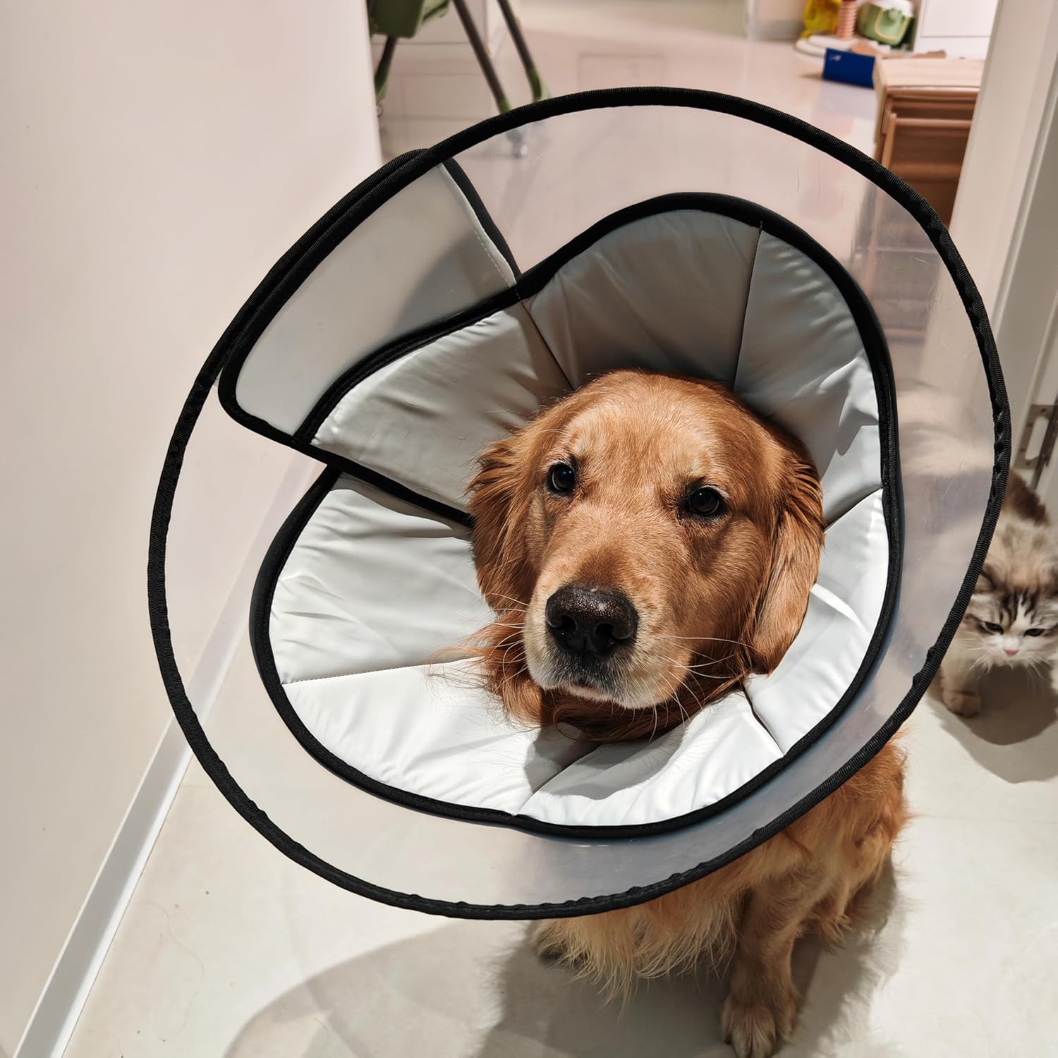 Sturdy & Comfy Dog Cone for Large Dogs - Anti - Lick & Bite, Protects Cervical Spine, Reflective Edge - Dog Cone Collar XL (Black Gray,L)