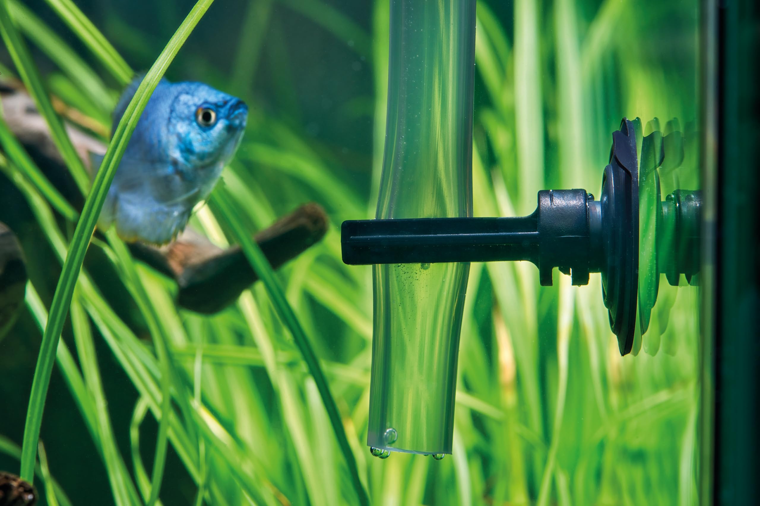 Eden 94231 PDG 60 Gravel Cleaner - Mulmsauger Aquarium - Effektive Reinigung für Bodengrund Schmutzentfernung von Mulm und Futterresten - Aquarium Reiniger Sauger