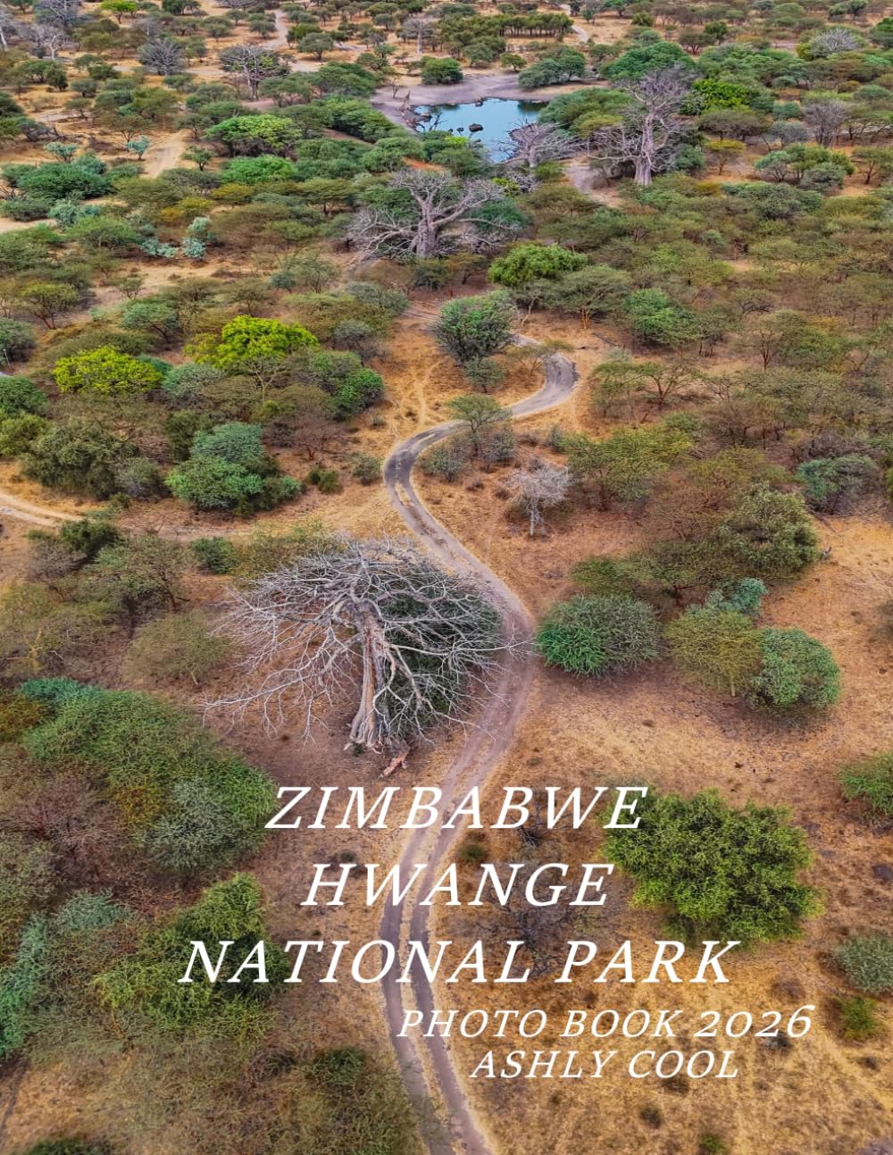 ZIMBABWE HWANGE NATIONAL PARK: Cool Pictures That Create An Idea For You About - Perfect Gift for tourism & travel lovers.....Relaxing & Meditation.