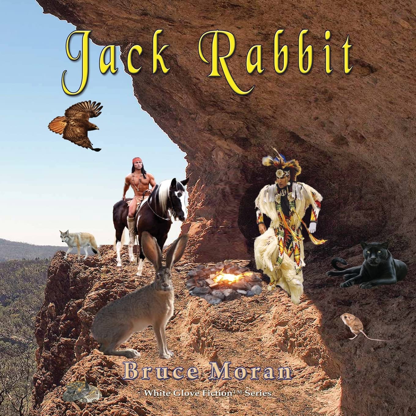 Jack Rabbit: A Jack Rabbit Novel (White Glove Fiction)