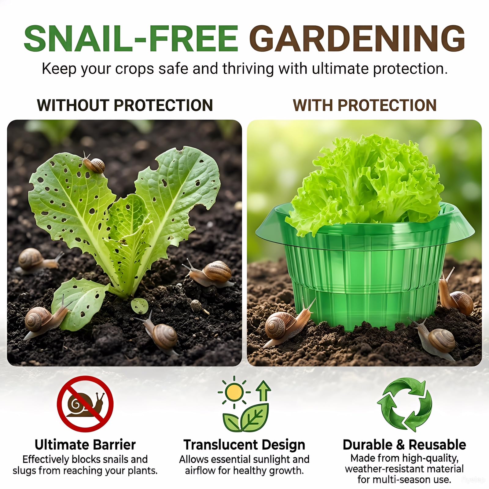 10 collares de caracol, anillo protector de caracol, protección de caracol de tamaño mediano para plantas de lechuga y repollo, los anillos protectores de caracoles pueden complementar el sombrero de