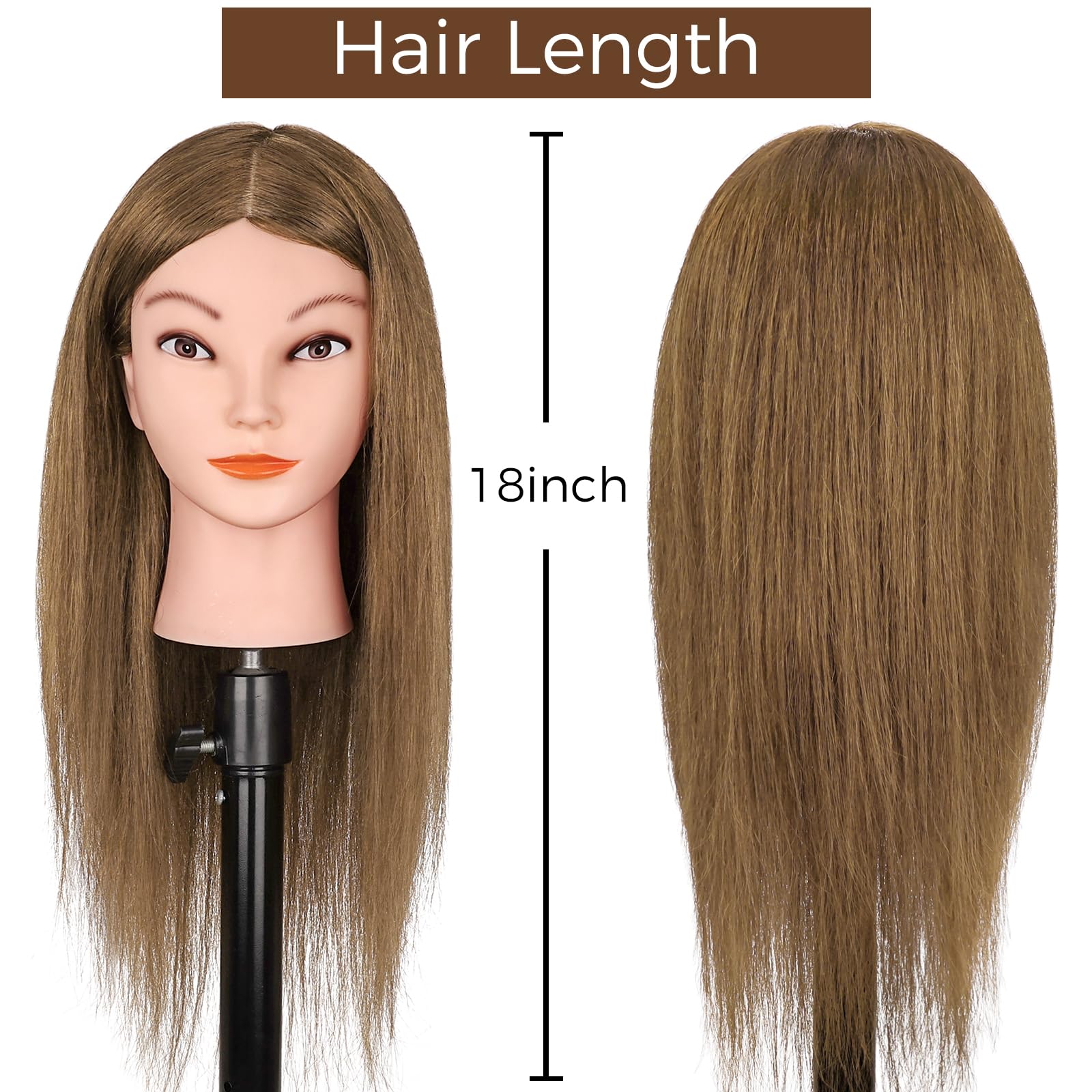 Cabeza de maniquí con cabello humano 100% real, 18 pulgadas, cabello castaño dorado, cabeza cosmetológica, cabeza manicana de muñeca para practicar estilos de cabello, cabeza de 2