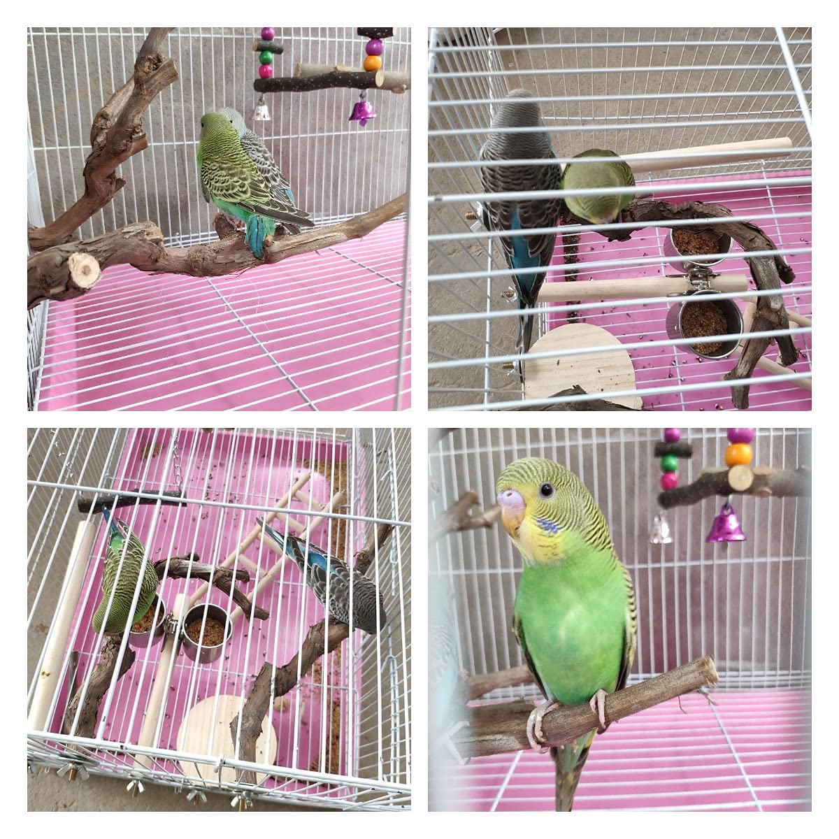 OSWINMART 2Pcs Bird Perches Natural Raw Grape Branch No Paint or Smell