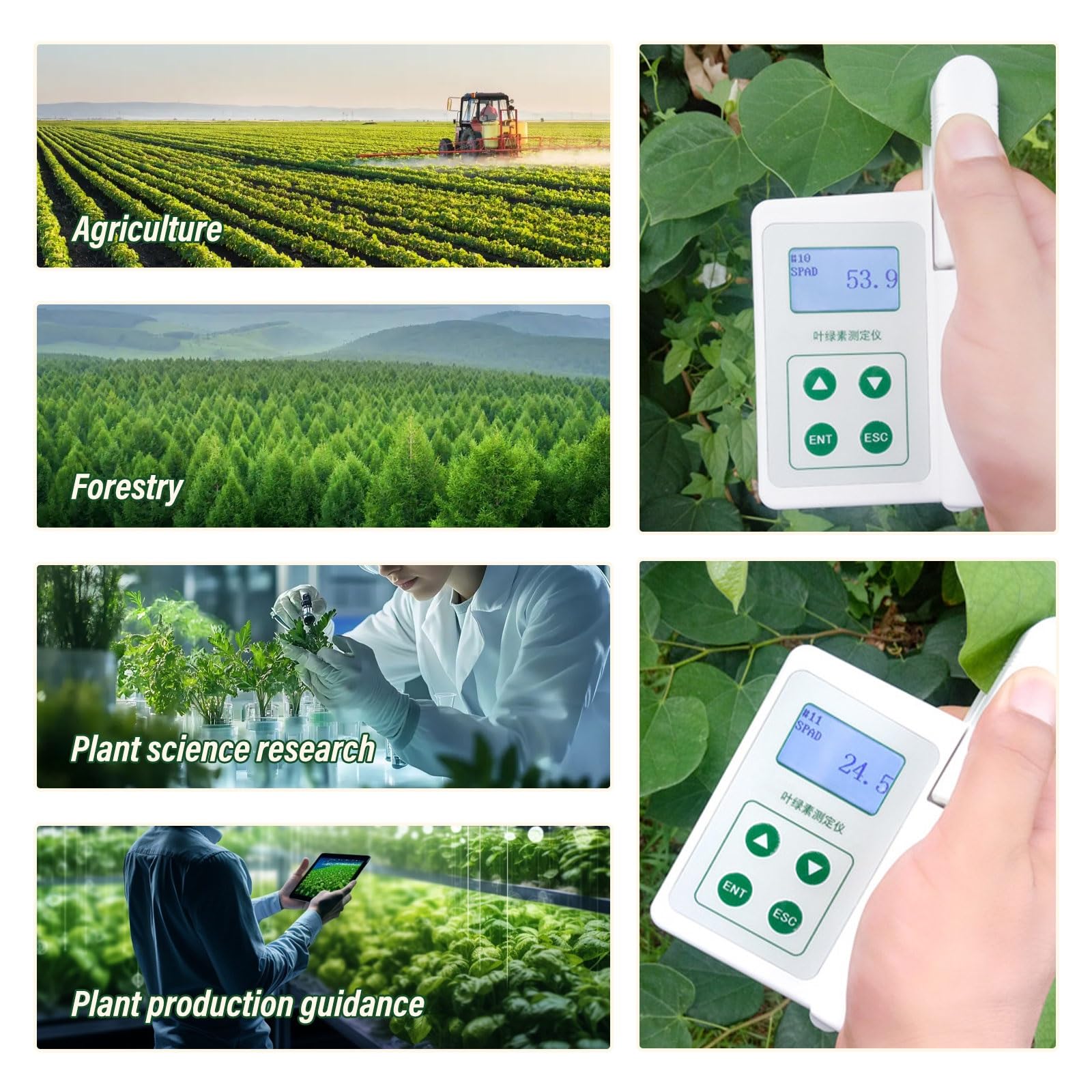 Tester De Clorofila Portátil Con Medidor Digital SPAD, Medición De Nitrógeno Foliar Y Humedad De Hojas, Análisis Hojas Y Nutrientes Y Monitor De Plantas(One parameters)