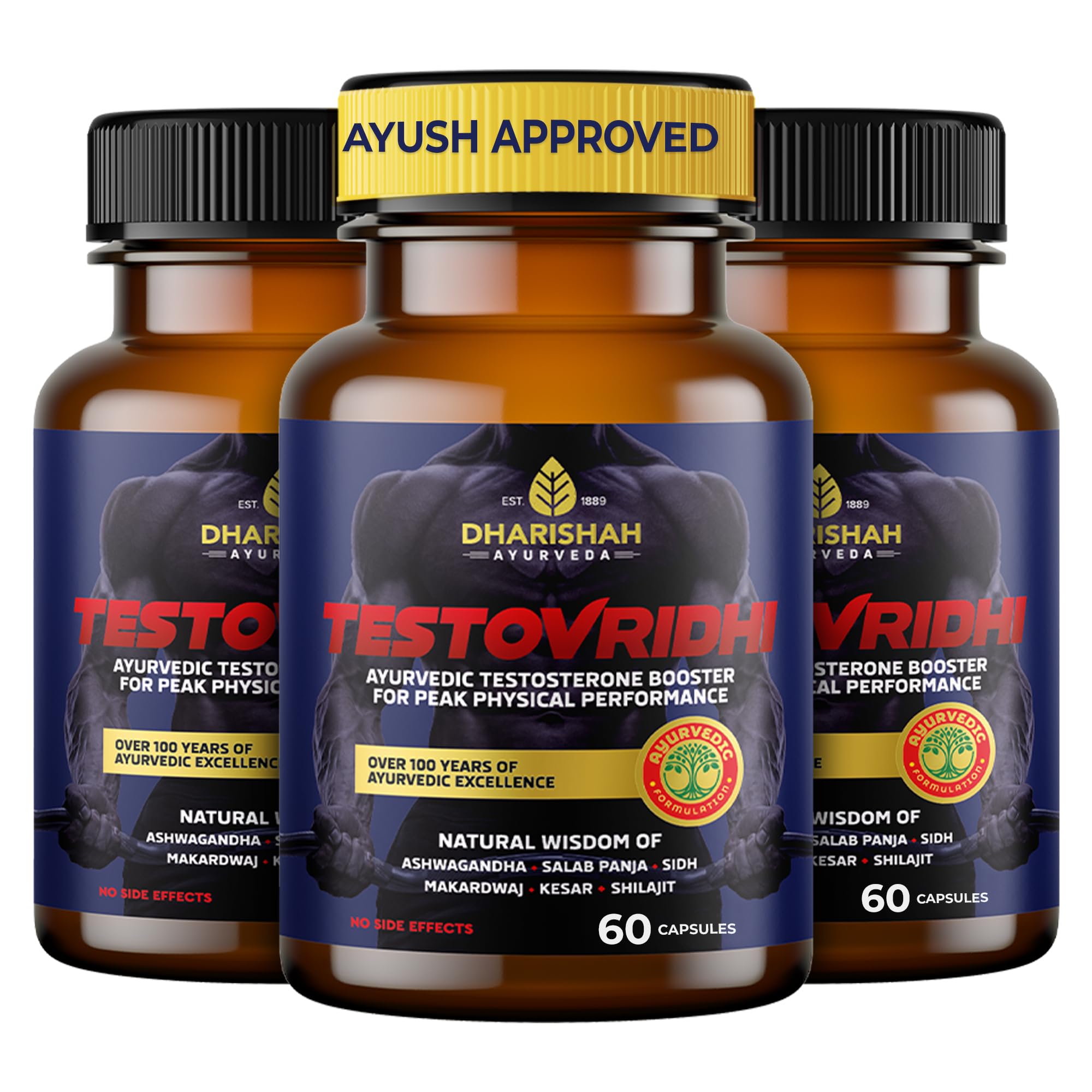 Dharishah Ayurveda Testovridhi Testosterone Booster for Men - 180 Vegan capsules with Ashwagandha, Shilajit, Safed Musli, Gokshura Supports Stamina, Energy, Muscle Strength, and Performance-image-48