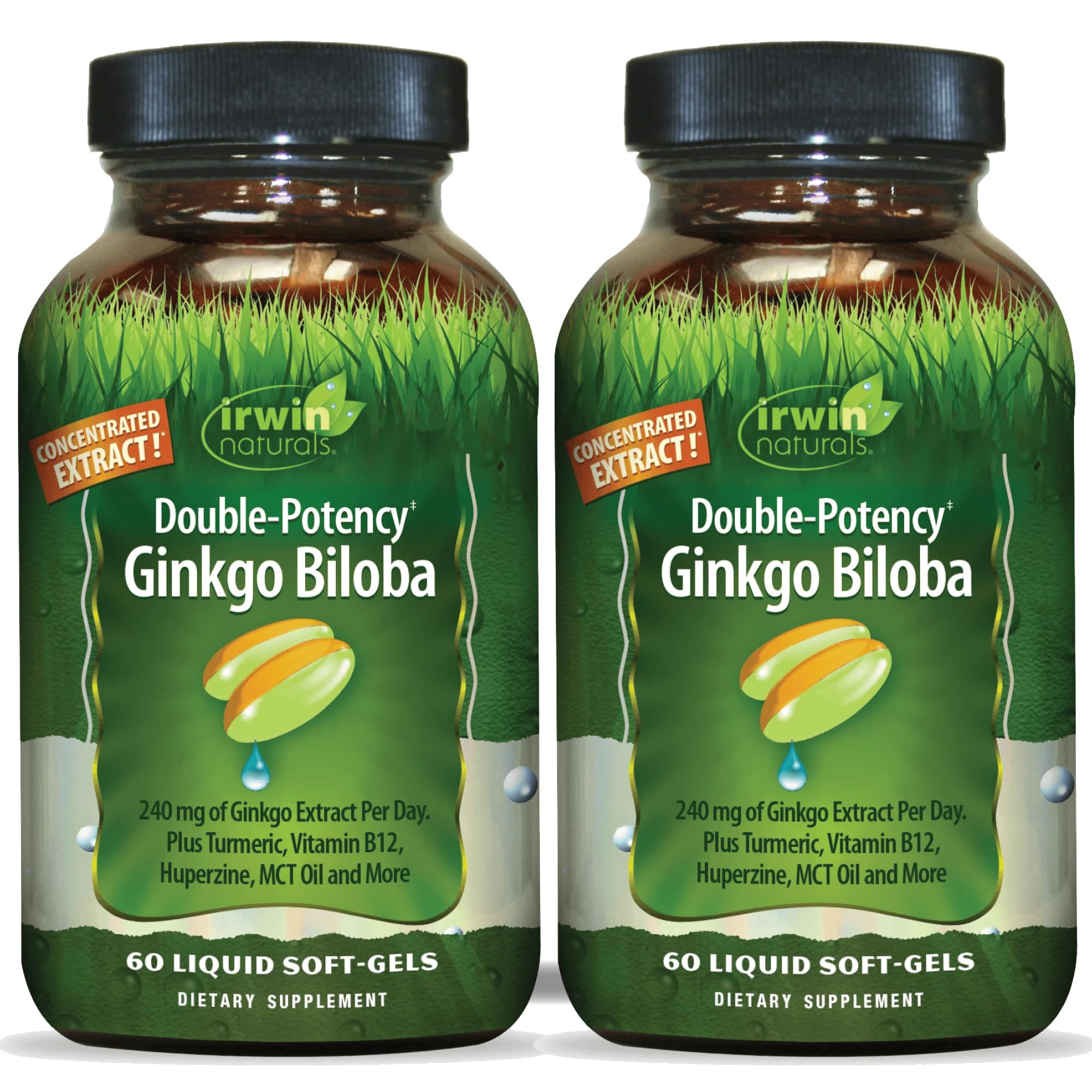 Irwin Naturals Double-Potency Ginkgo Biloba Extra Strength (2 Pack) 60 Count (Pack of 2)