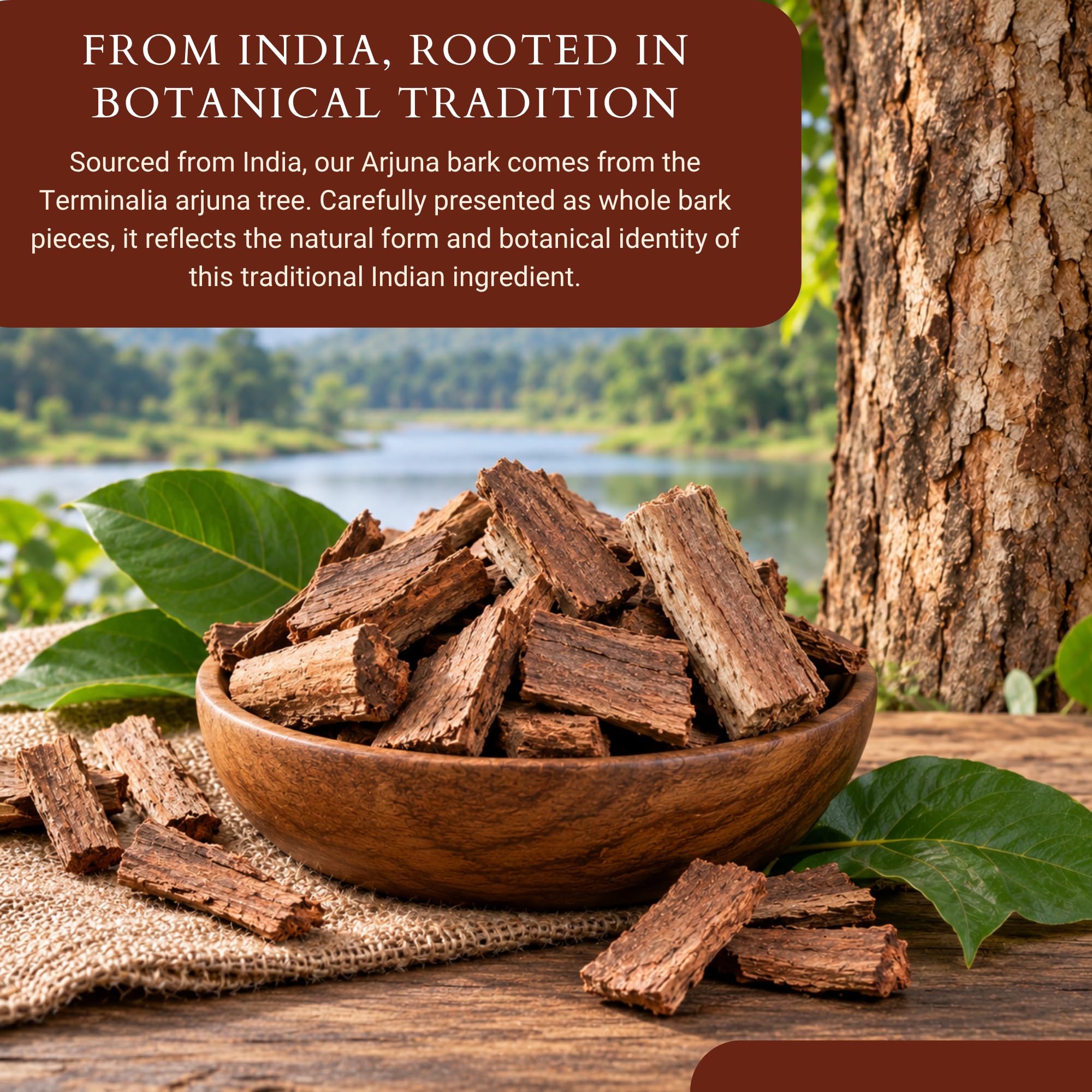 Pride Of India Arjuna Bark Whole 3.53 oz | Arjun Chaal Herbal Ingredient | Natural Terminalia Arjuna Bark for Herbal Tea, Decoctions & Botanical Blends | Vegan, Gluten-Free, Caffeine-Free — Amazon image 8