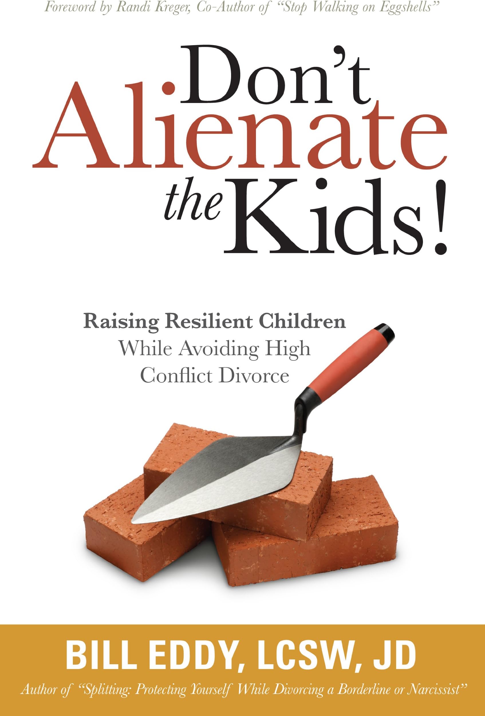 Don't Alienate the Kids! Raising Resilient Children While Avoiding High Conflict Divorce Paperback – March 30, 2010