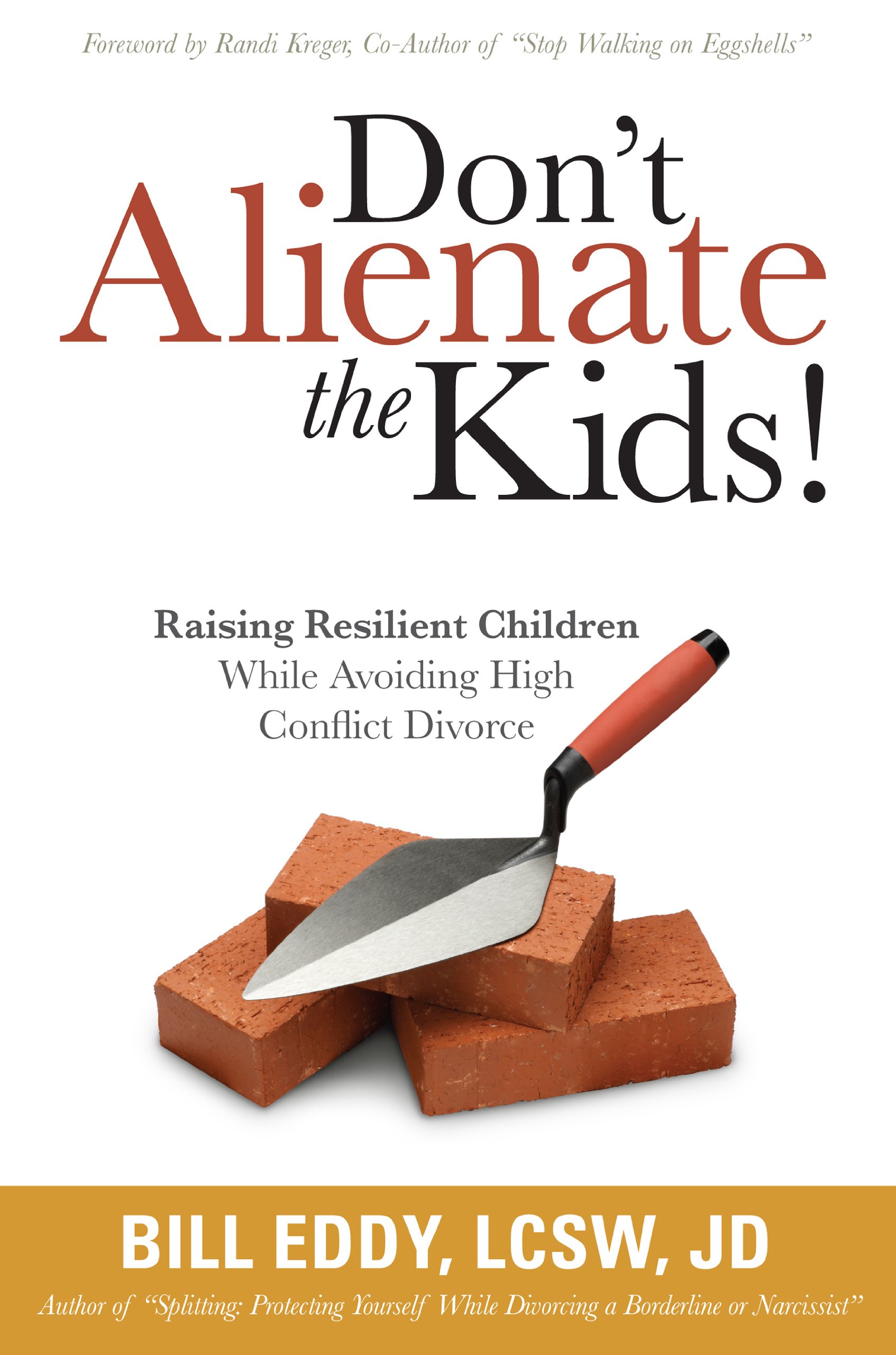 Don't Alienate the Kids! Raising Resilient Children While Avoiding High Conflict Divorce Paperback – March 30, 2010