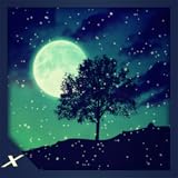 Animated Snow Scenery - A Romantic Snowy View