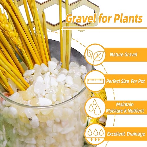 Miniatura 3 de CJGQ Grava de acuario de 2.4 libras para plantas, rocas de río decorativas al aire libre de 15 pulgadas para suculentas y cactus paisajismo, rocas