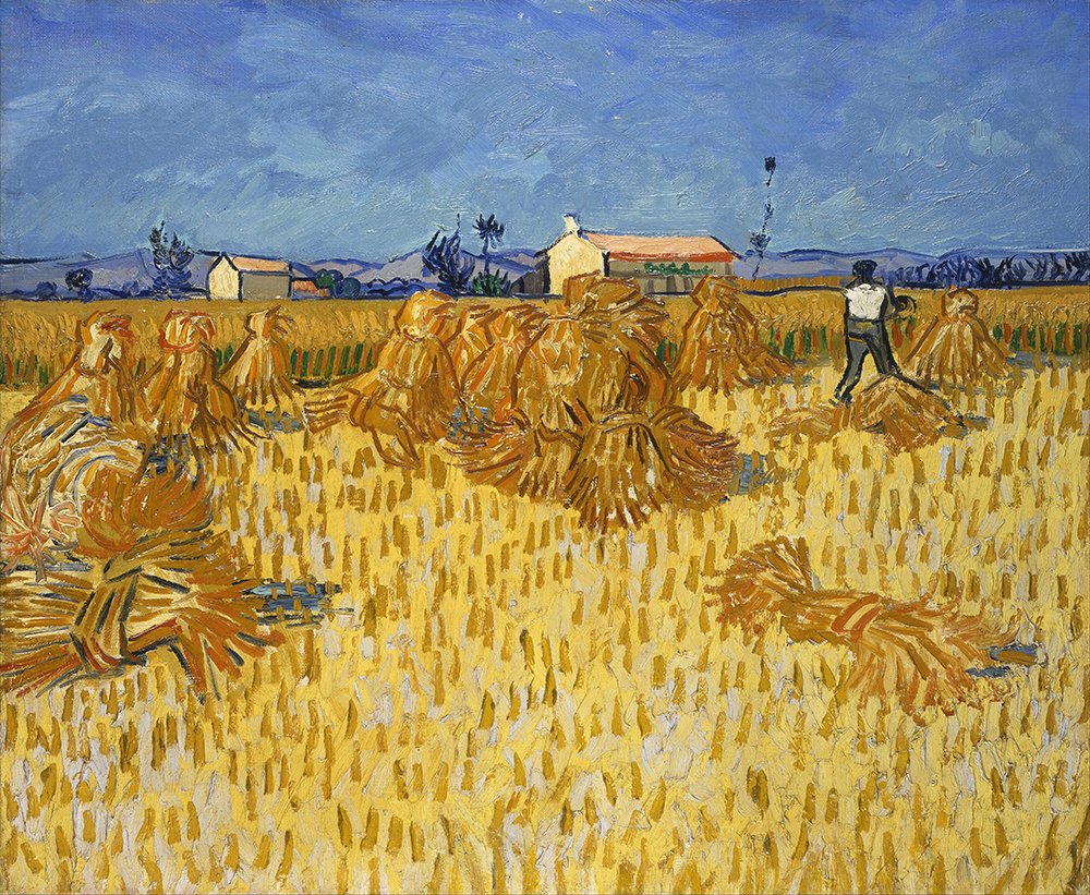Corn Harvest in Provence Van Gogh Affiche Géante Mat pour Ambiance Maison de Campagne