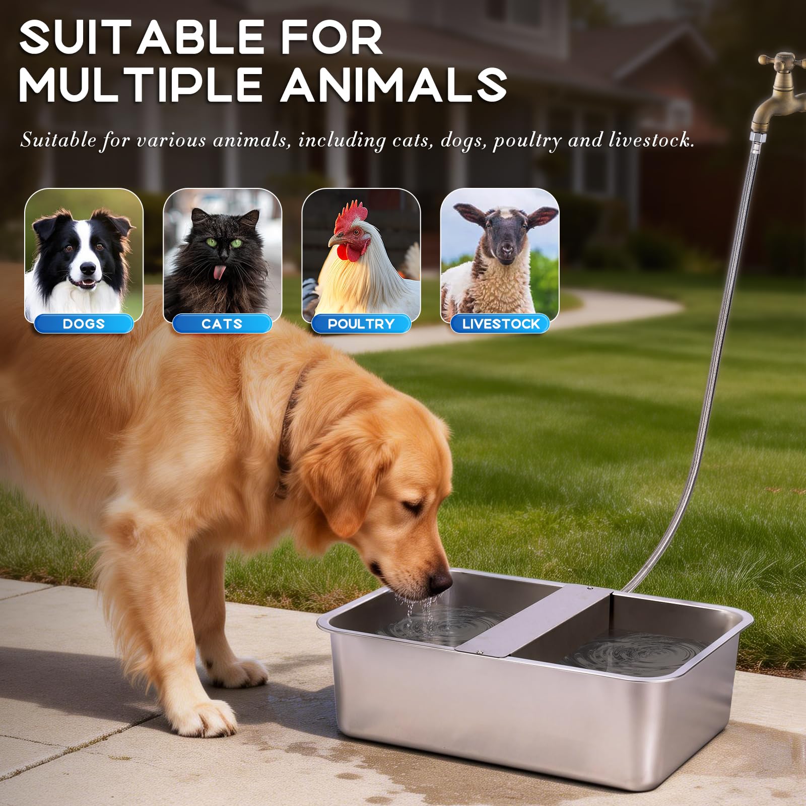 Dispensador Automático de Agua para Perros de 25L con Válvula Flotante, Bebedero para canino al Aire Libre para Dos chucho, Cuenco de Agua para Perros de Gravedad de Acero Inoxidable (Autocompletar)