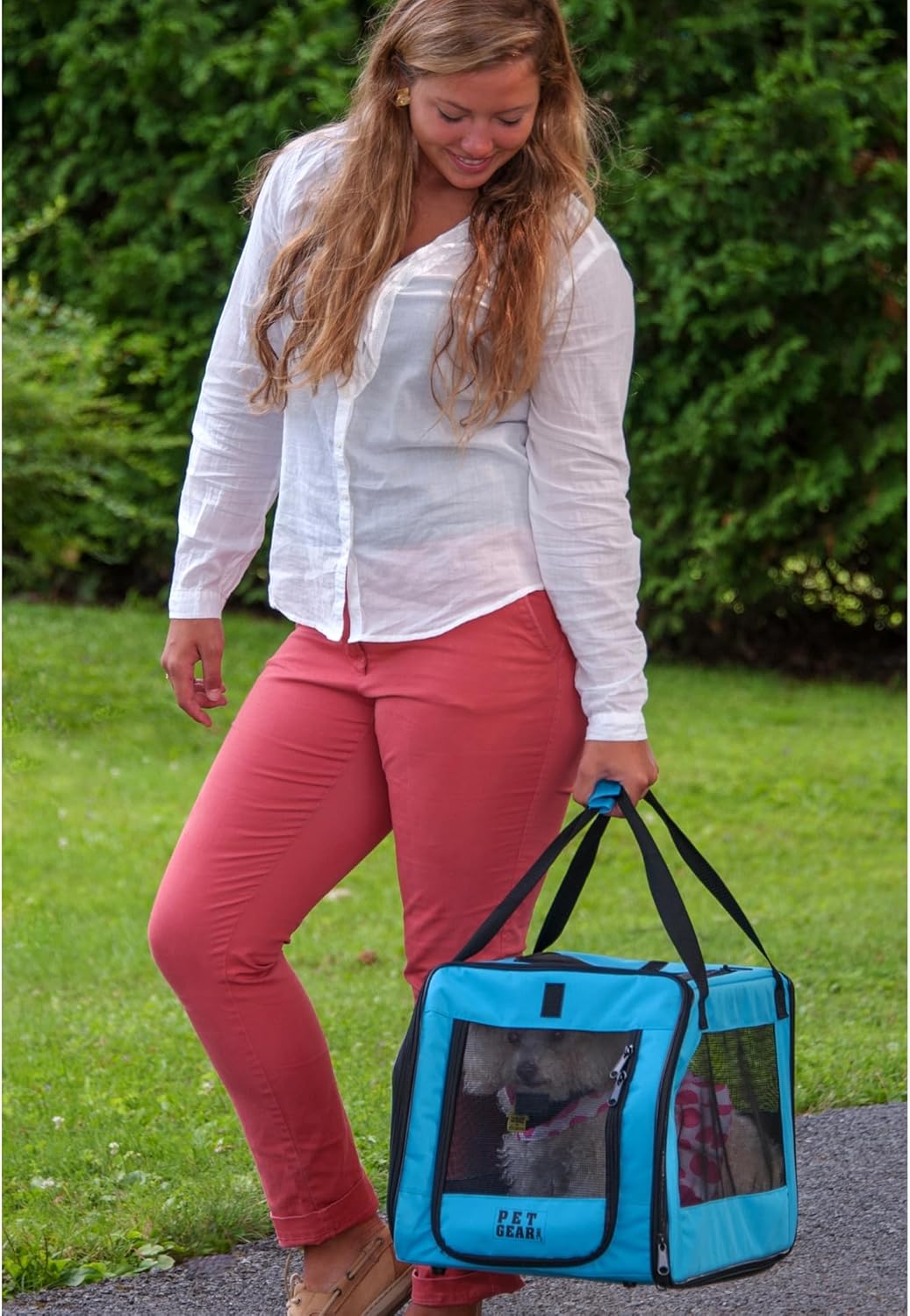 Pet Gear Signature Pet Safety Carrier and Car Seat for Small Dogs & Cats, Arctic Blue