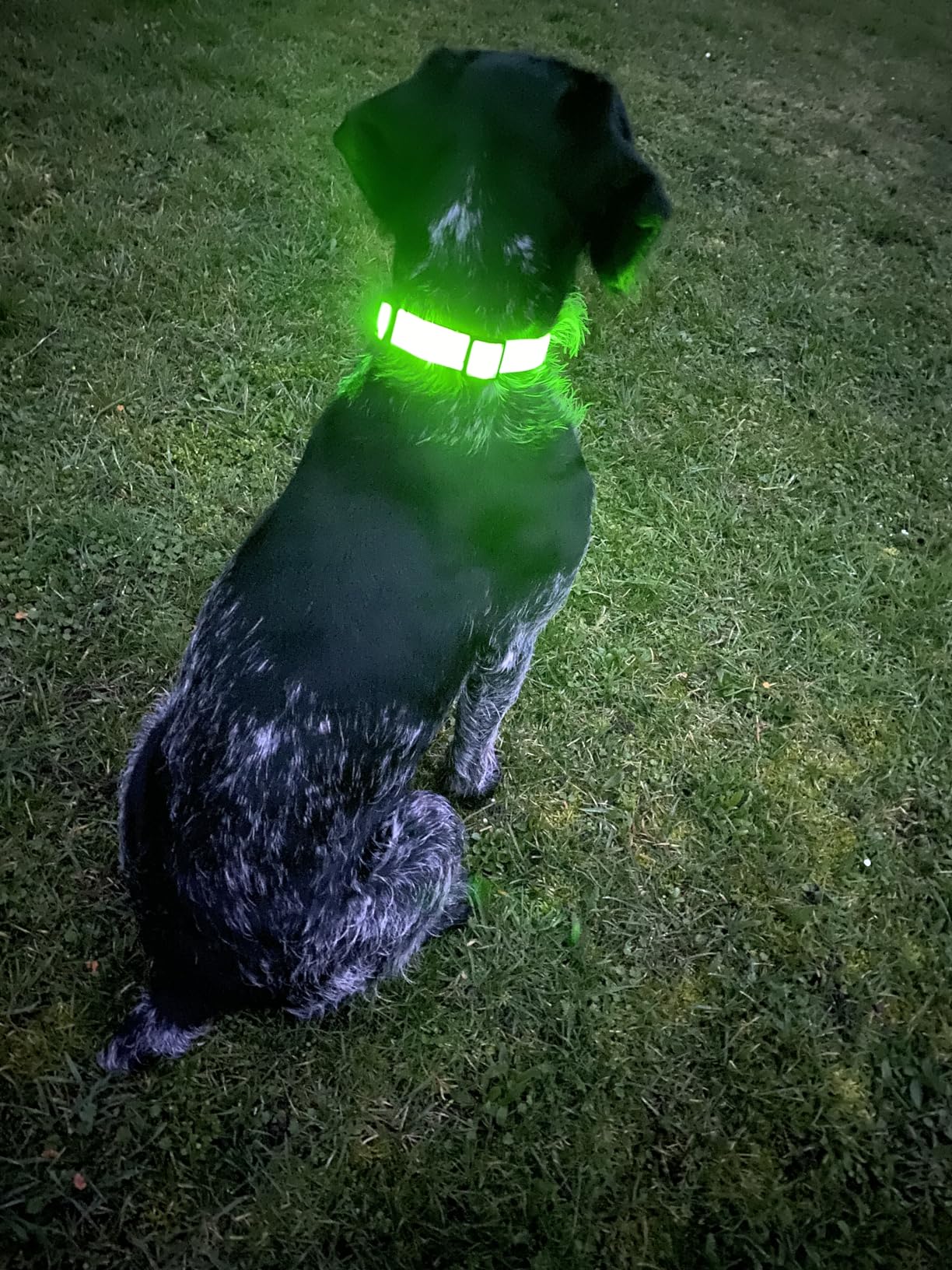 Endlich eins, das was taugt