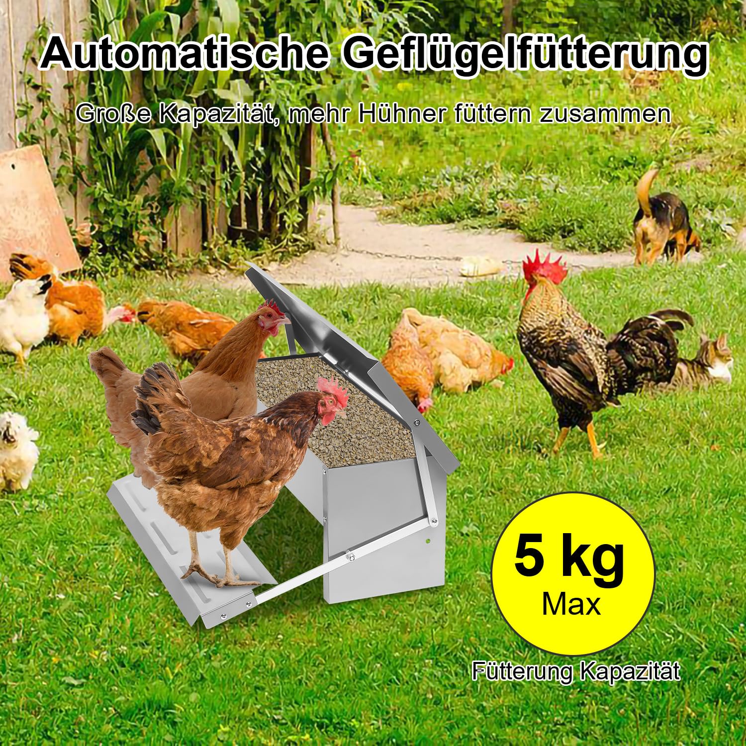 Karmnik automatyczny 5 kg, koryto na karmę z pedałem samochodowym i