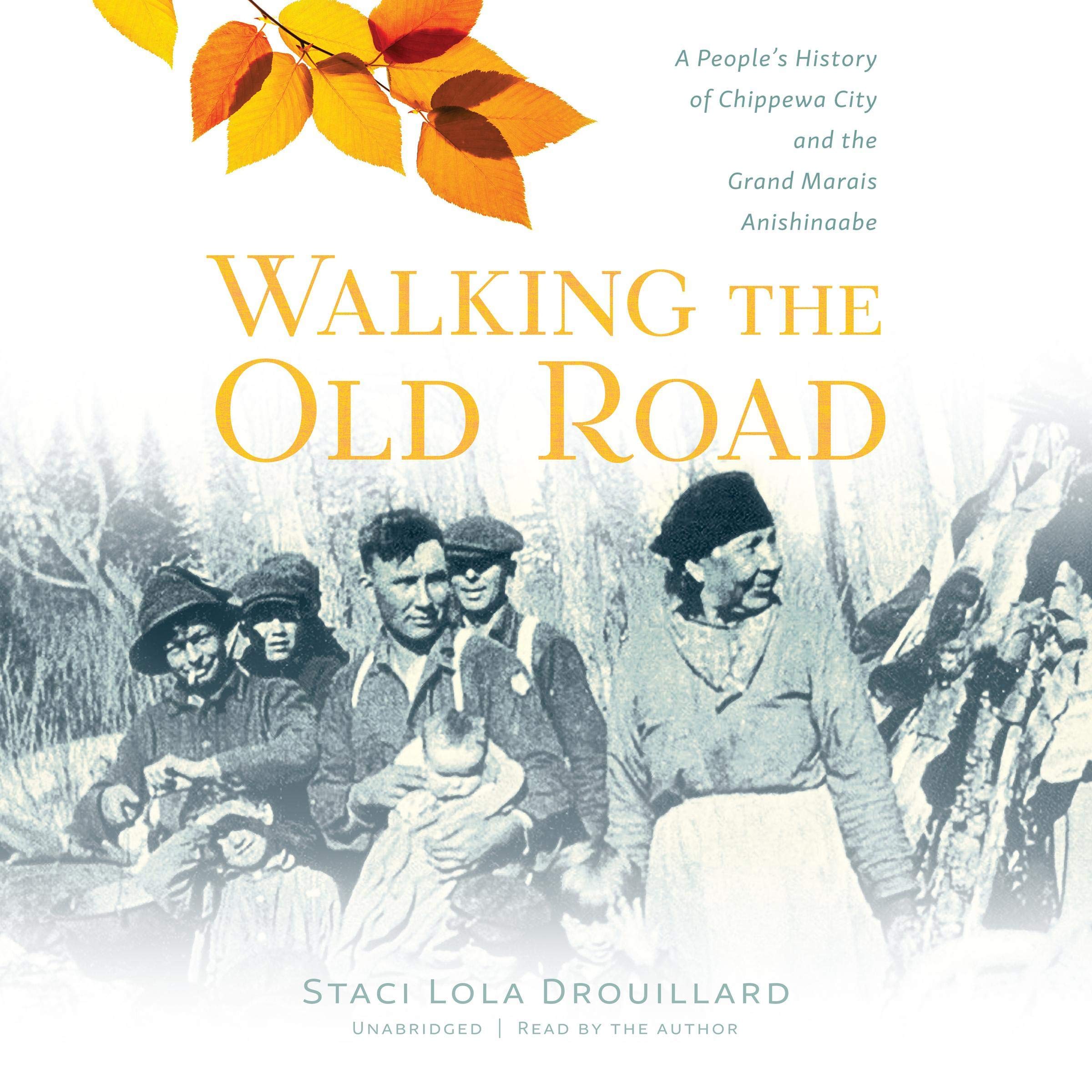 Cover art for Walking the Old Road