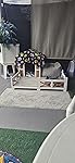 Review Image by Amazon Customer