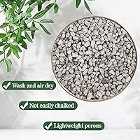 Vista 3 de Piedra Pómez Hortícola Sukh - Piedra Pómez para Plantas Suculentas Cactus Bonsái Orquídea Enmienda de Suelo 410g