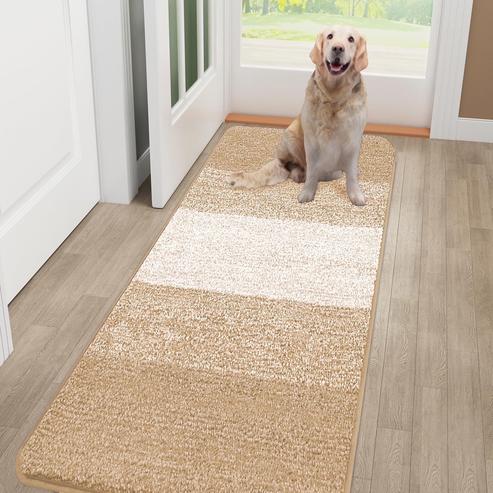 Kitinjoy Indoor Outdoor Door Mat, 48x30 Non-Slip Absorbent Dirt Trapper, Low-Profile Washable Inside Entrance Front Floor Mat, Sturdy Soft Entry