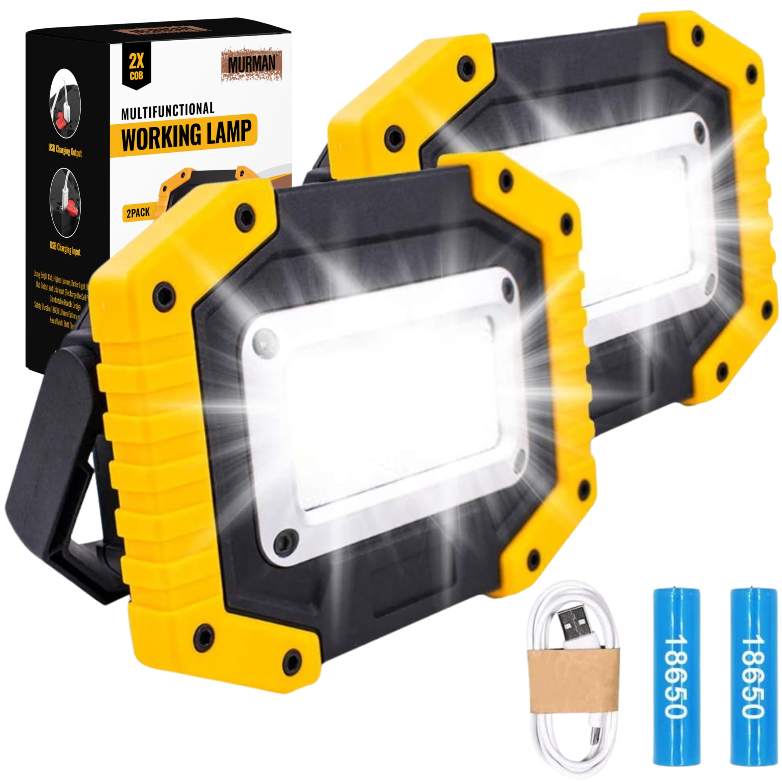 Hybrid Minds™ | 2 Pack | Battery Lights - LED Floodlight Work Light for Loft, Portable Lamp Battery Powered Rechargeable Outdoor Lights for Flood & Spot Lighting