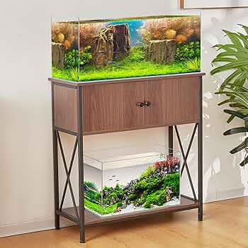 FISH TANK  31冊 81JigaoUz2L._UF350,350_QL50_.jpg