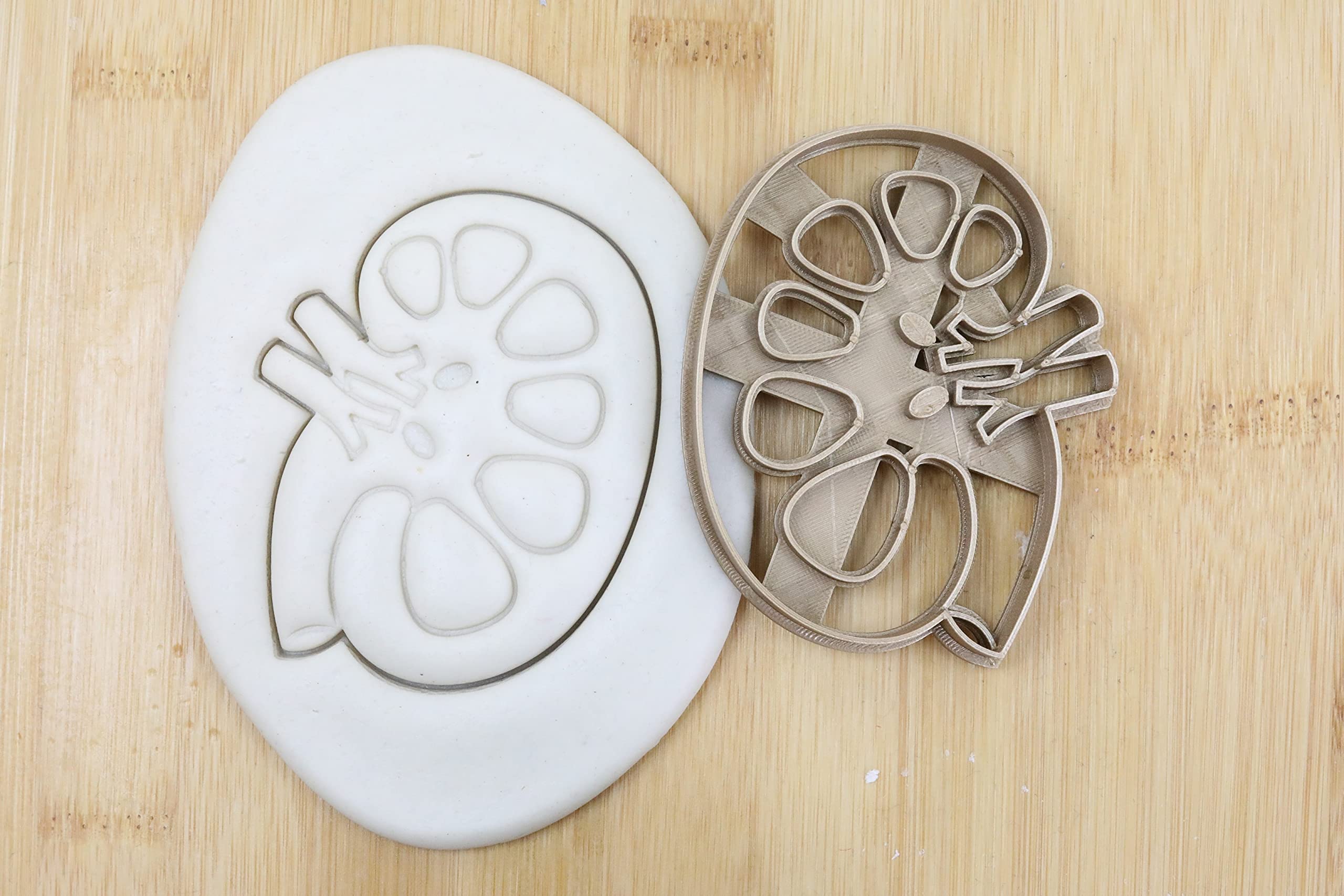Organ Set(9st) Gehirn/Lunge/Niere/Herz/Darm/Pankreas/Leber/Magen/Gebärmutter Cookie Cutter Fondant Keksstempel/Ausstechform Keksausstecher Plätzchen ca. 8cm