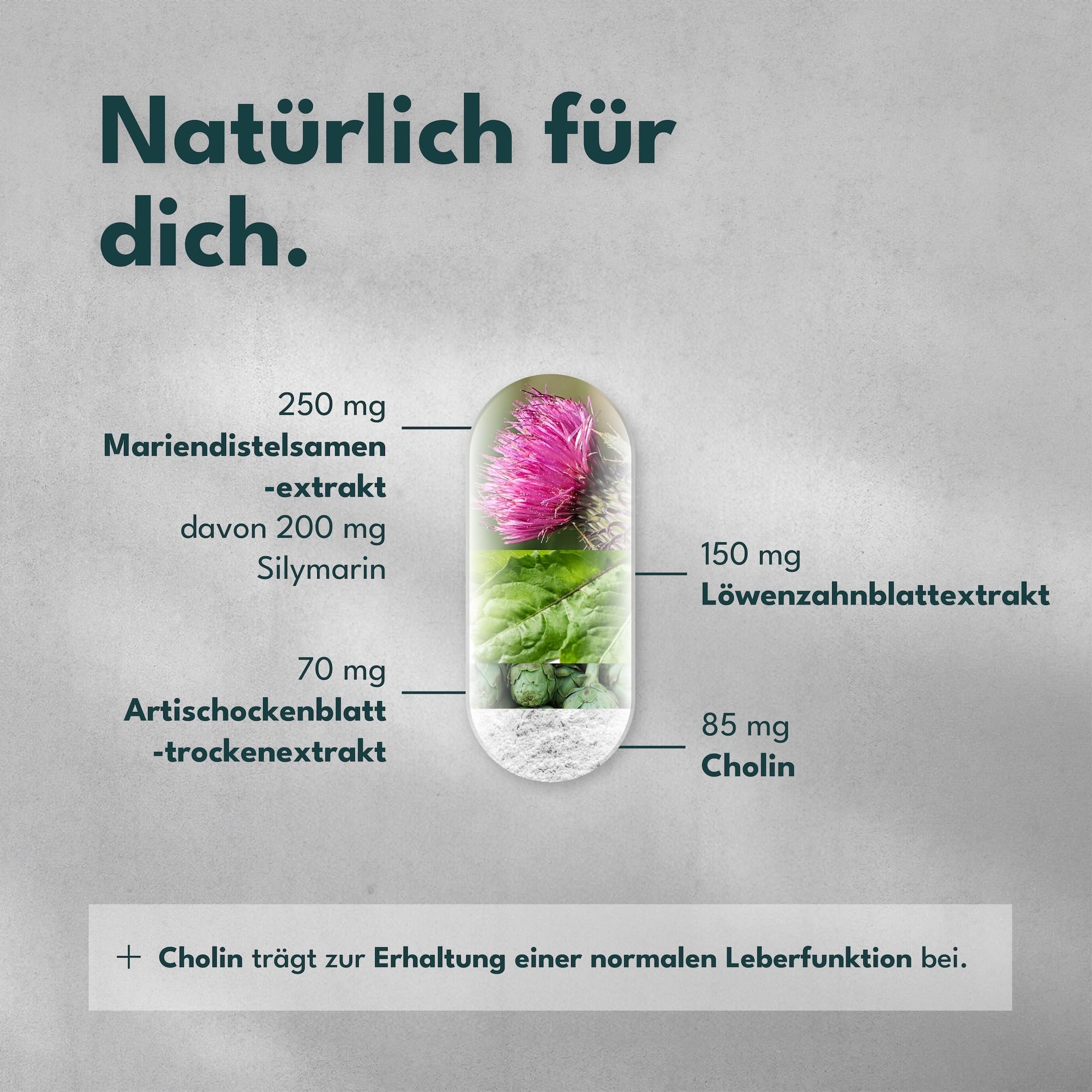 Mariendistel Leber-Komplex mit Cholin, Artischocke & Löwenzahn – 120 Kaps. | Cholin trägt zu einer normalen Leberfunktion bei – mit Mariendistel (200 mg Silymarin), Artischocke & Löwenzahn, vegan