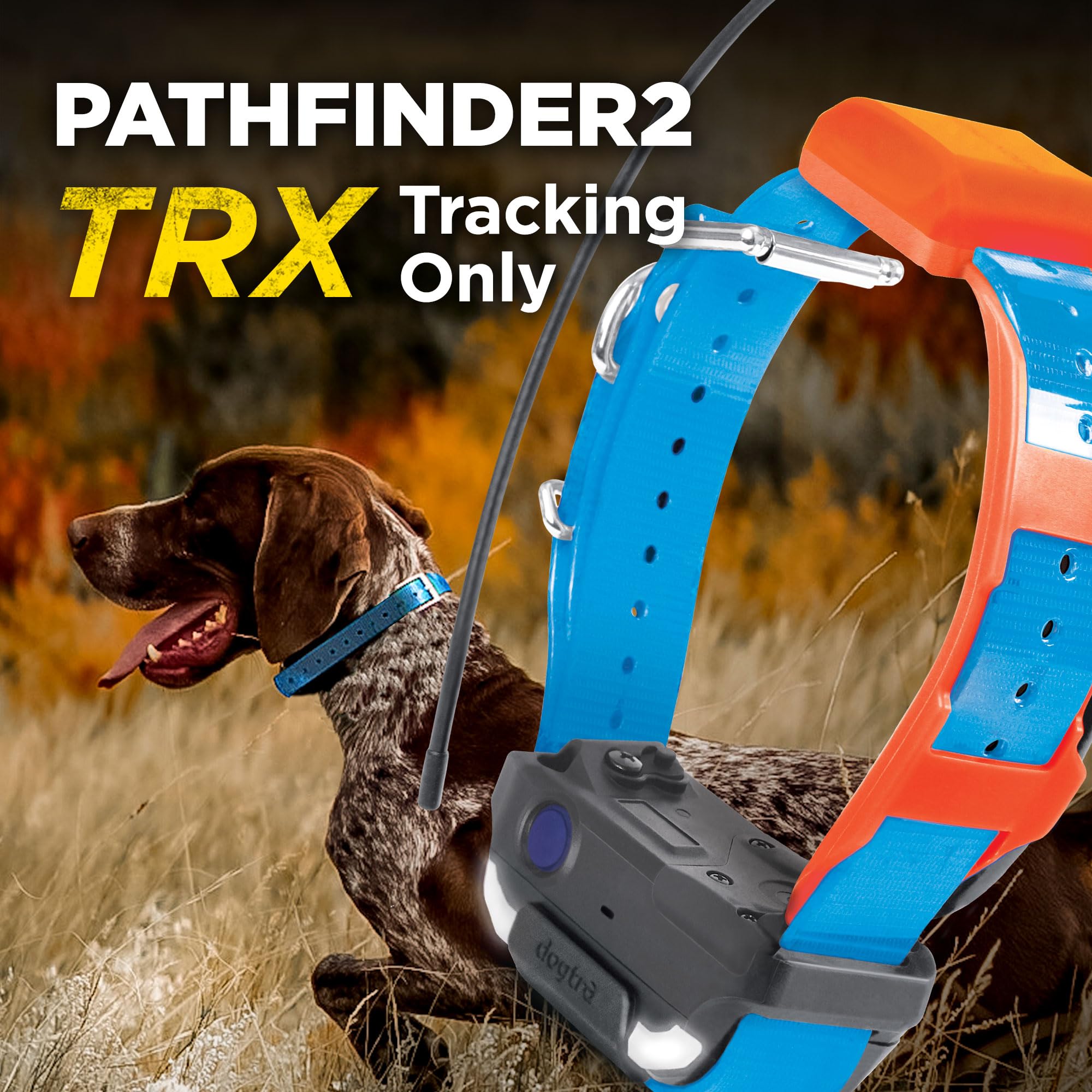 Dogtra Pathfinder 2 TRX Additional Receiver Only Dog GPS Tracker LED Light Blue Collar SmartWatch Compatible Rechargeable Waterproof Free Offline Maps No Monthly Subscription Fee Smartphone Required - image 6