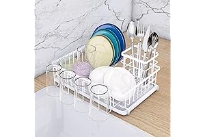 TONLEA Stainless Steel Dish Drying Rack: Space-Saving Kitchen Countertop Organization