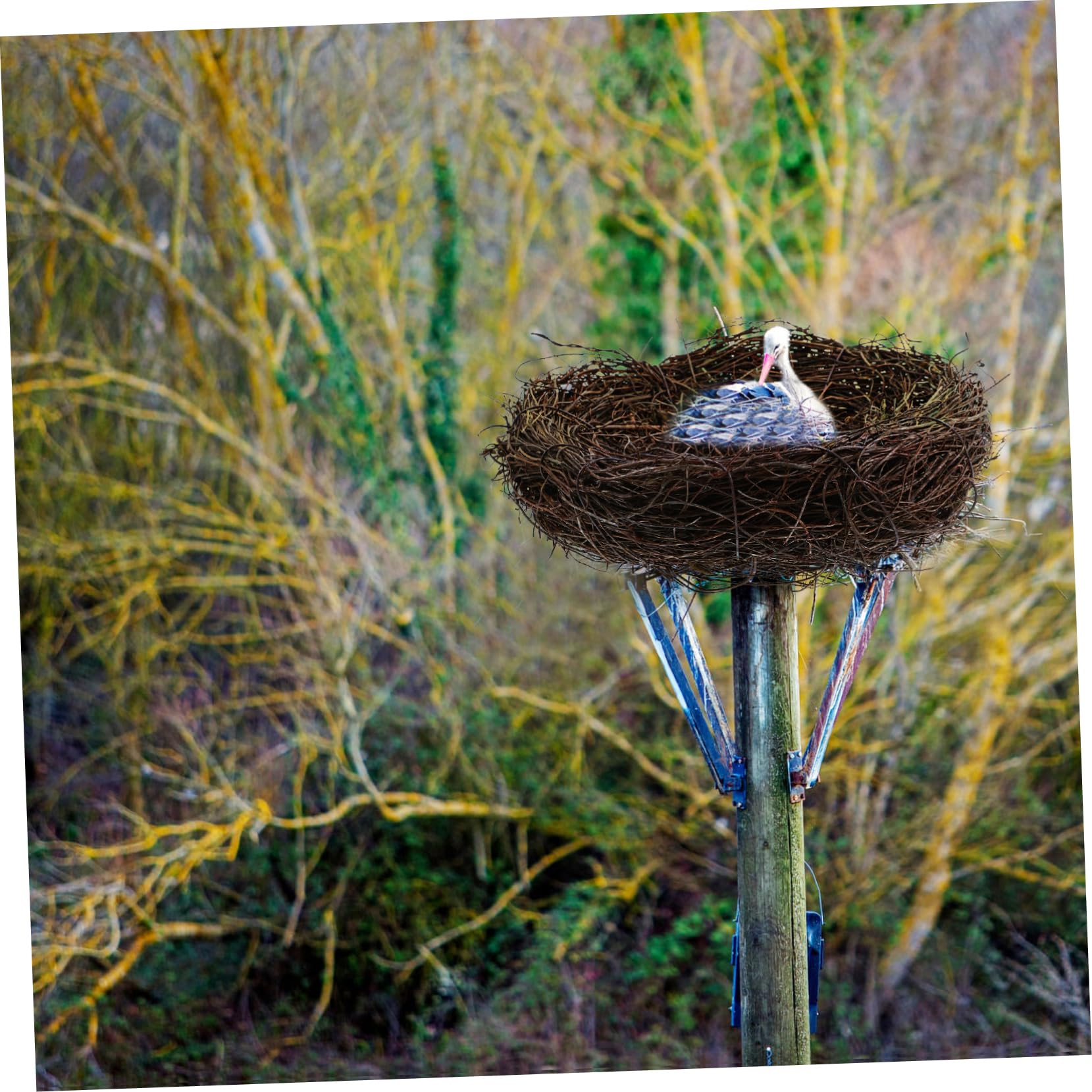 BESPORTBLE 4piezas Adorno De Nido De Pájaro Artificial Decoración De -Paisaje Nido para Jardín y Hogar Resistente y Lifelike