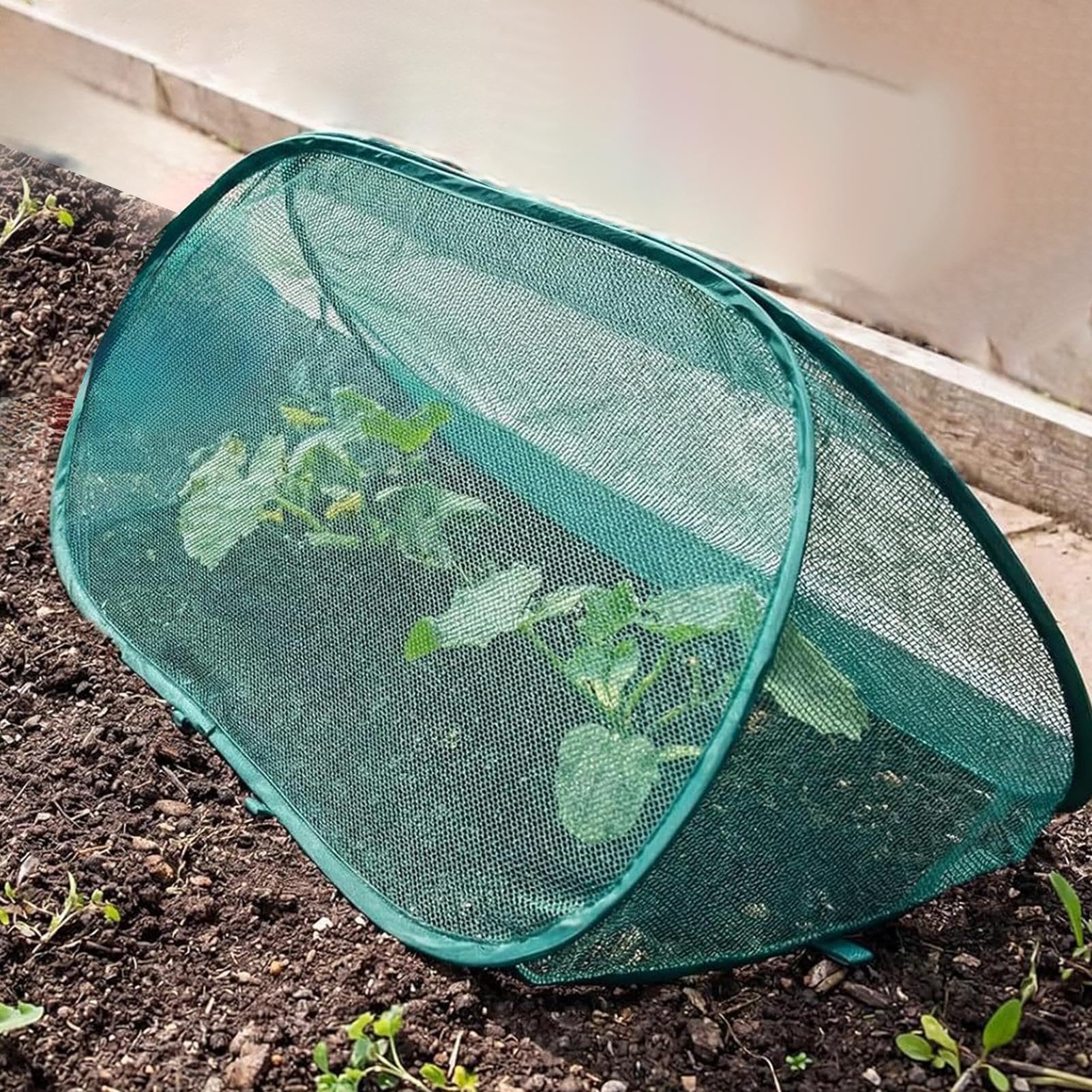 Red para plantas malla plegable con la protección y resguardo