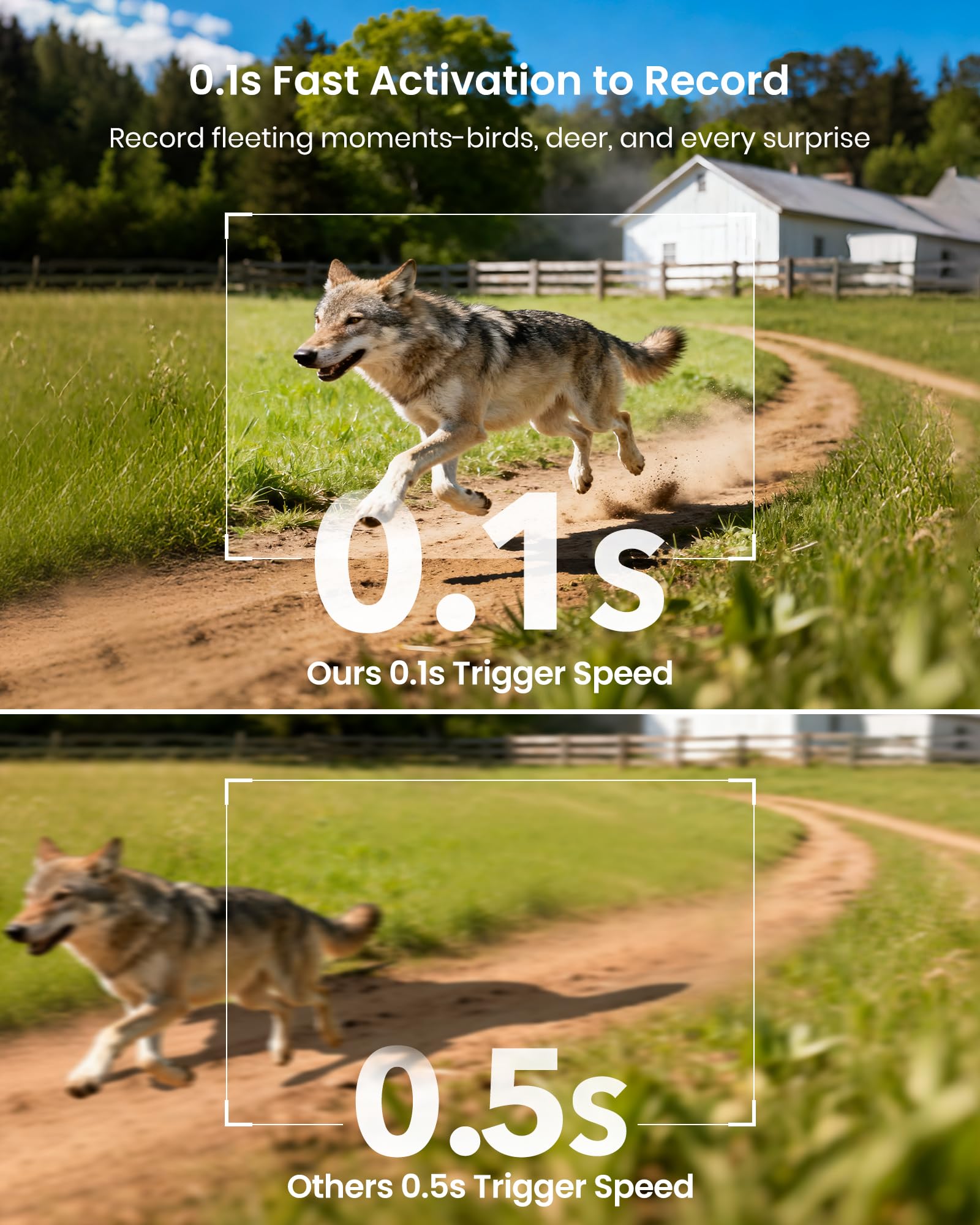 Misstech 4K UHD Solar Trail Kamera, Outdoor Wildkamera für Hofüberwachung, 0.1s Fast Motion Aktiviert zum Aufzeichnen, 64MP/4K Klare Nachtsicht, Keine Monatliche Gebühr, App-Steuerung, IP66