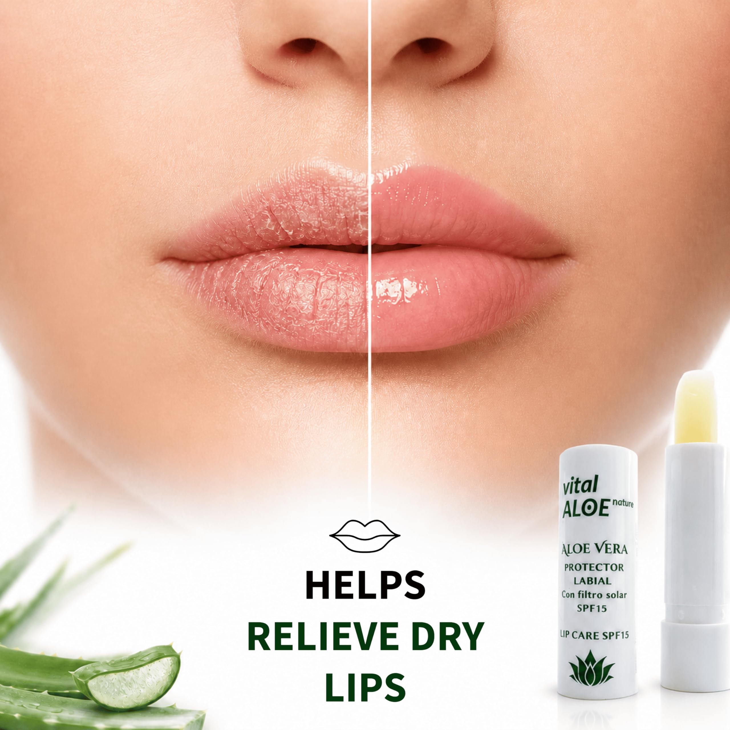 Balsamo Labbra Aloe Vera SPF 15 | 5 unità | Stick Labbra Idratante con Filtro Solare | Cura Quotidiana per Labbra Secche | Texture Morbida Non Appiccicosa | Ideale Estate e Inverno