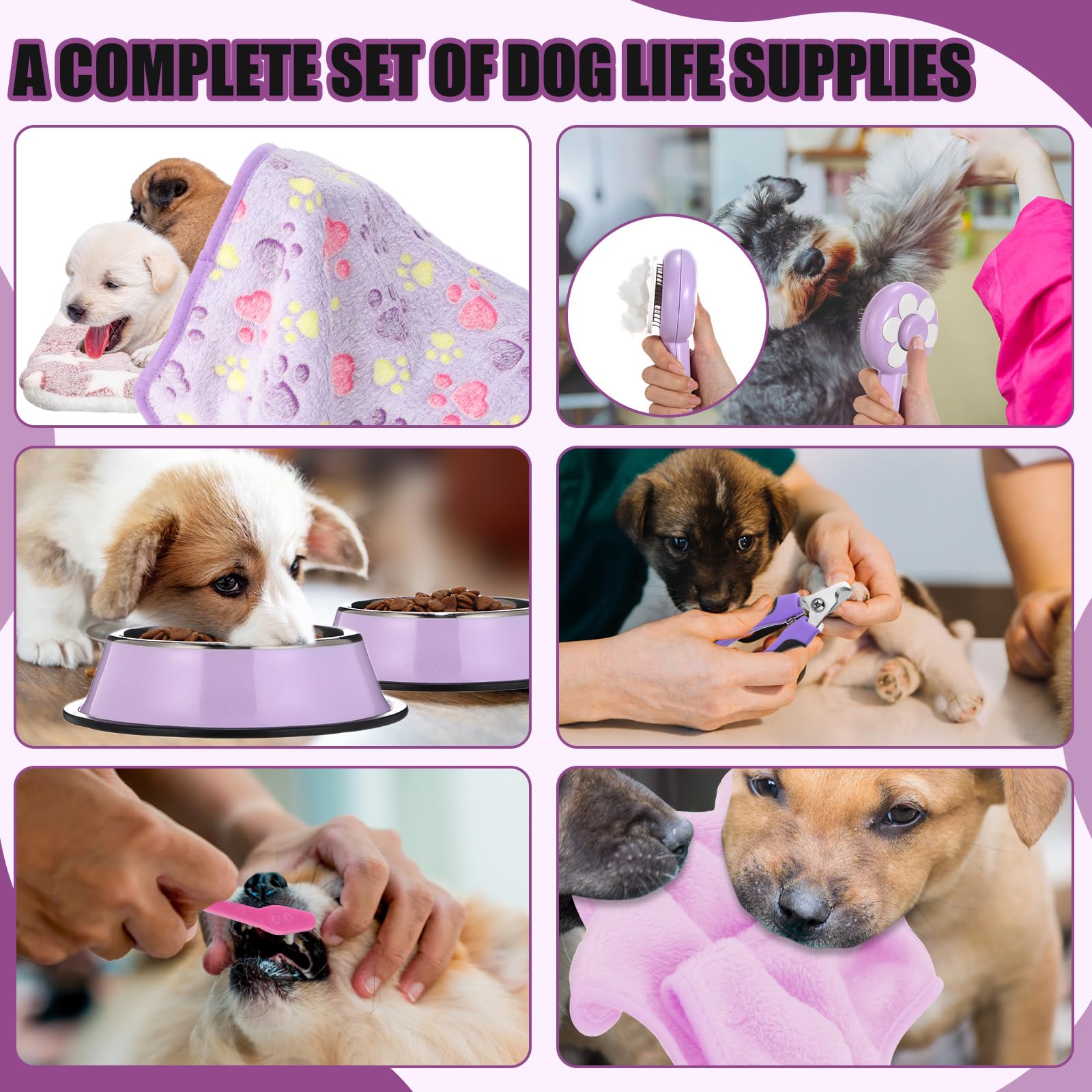 Abbylike Kit de iniciación de 50 piezas para cachorros para perros pequeños, incluye correa, cuencos, cepillos de dientes, botella de agua y más accesorios para perros, regalo de bienvenida para el
