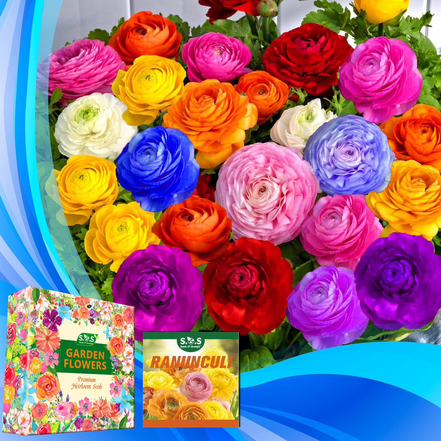 Mixed Peony Ranunculus Bulbs