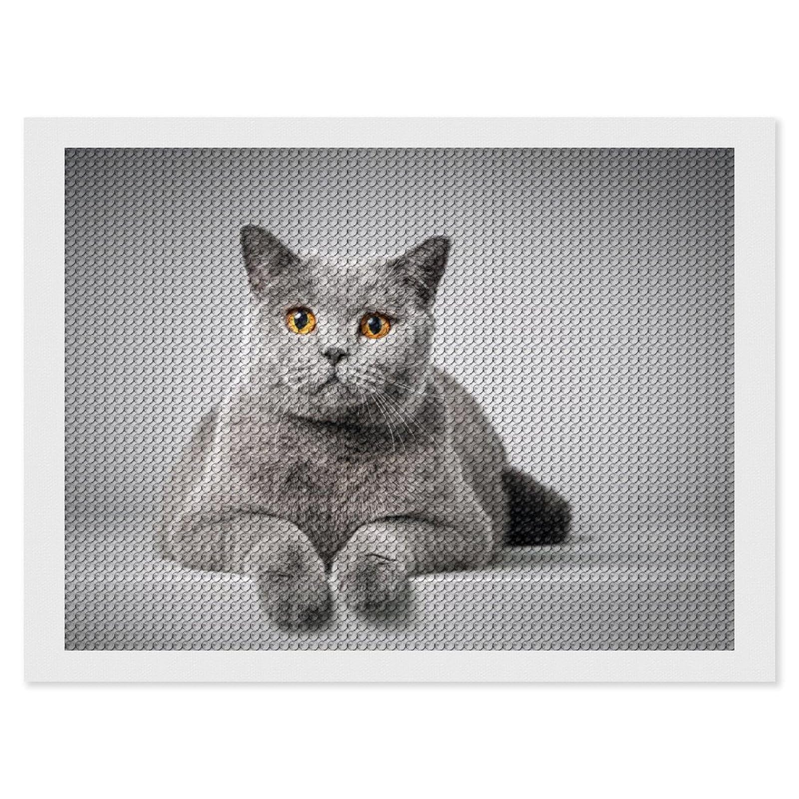 Amazon.co.jp: ダイヤモンドアート 猫 灰色 ブリティッシュショート