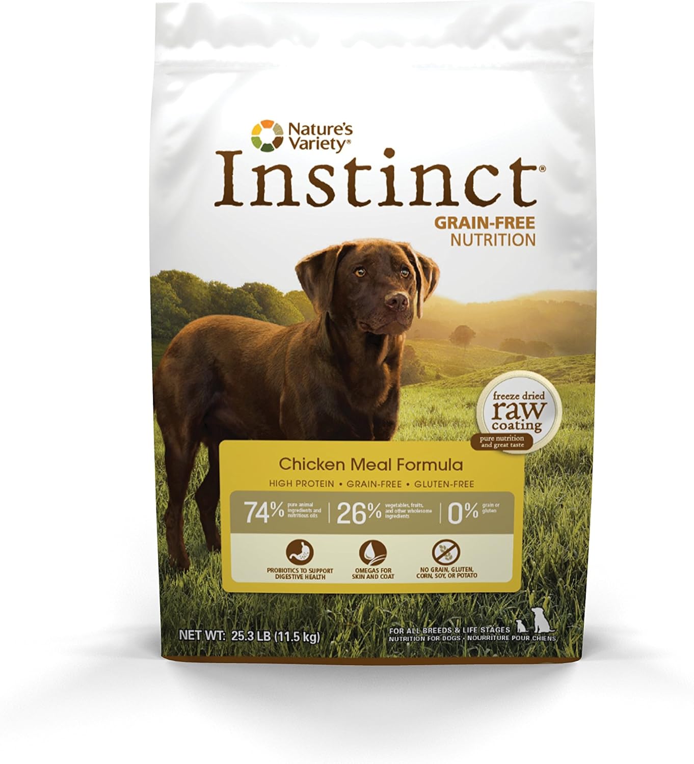 What Are The Best Dog Foods Without Corn? Comprehensive Guide!