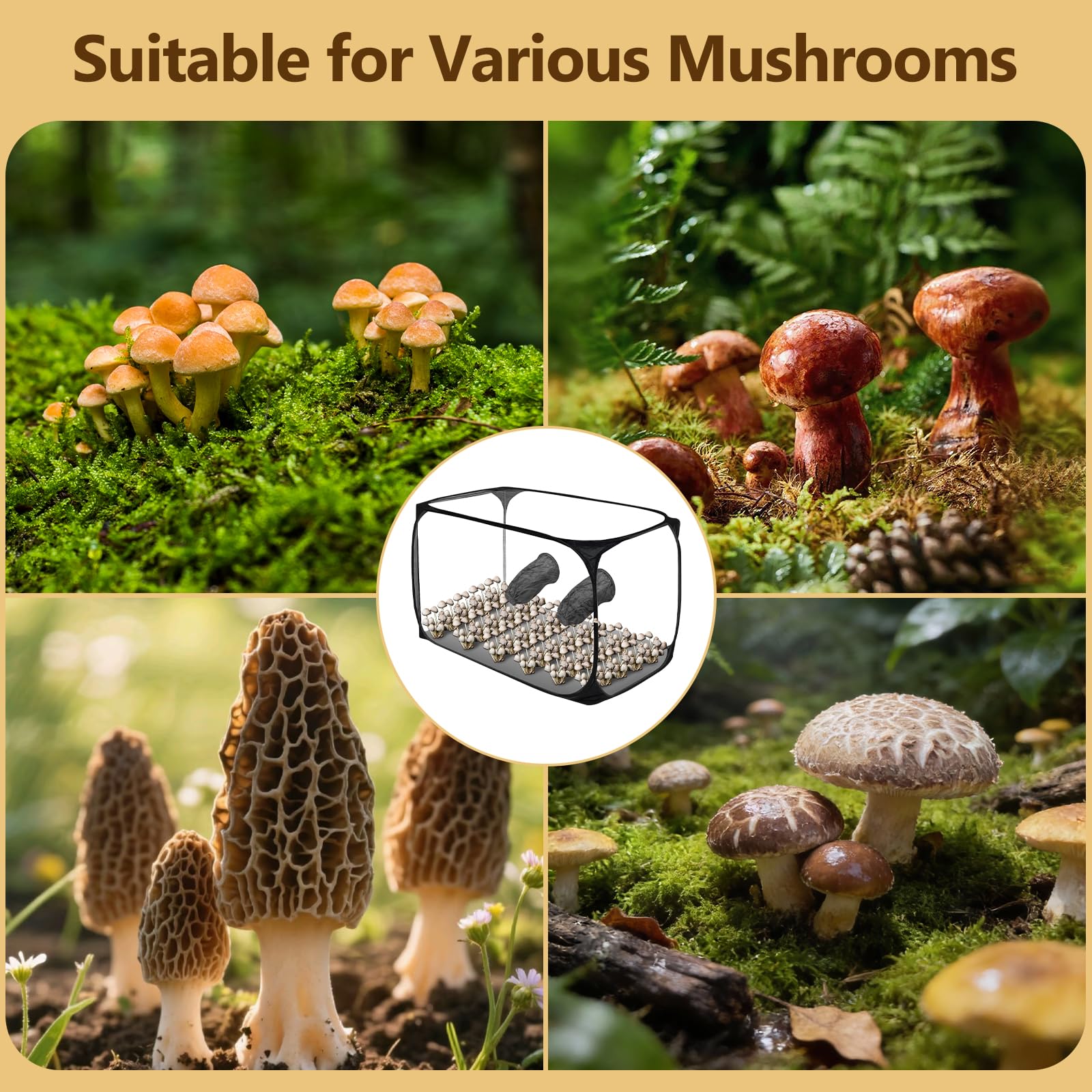 Tienda de cultivo de hongos grande de 82 x 52 x 52 cm, caja de cultivo de setas, caja de cultivo de hongos con caja de aire silenciosa, tienda de cultivo portátil y plegable con dos aberturas para