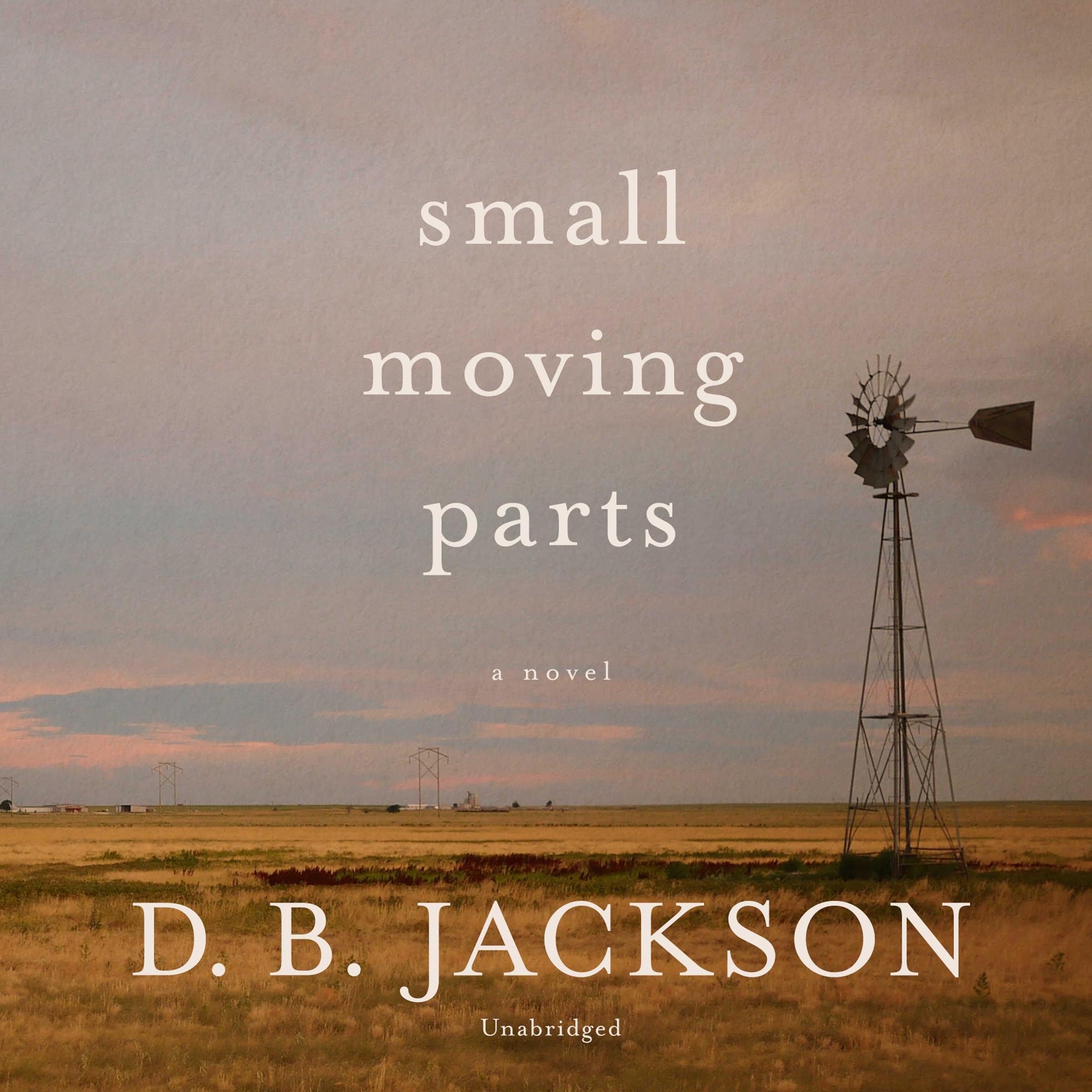 Cover art for Small Moving Parts