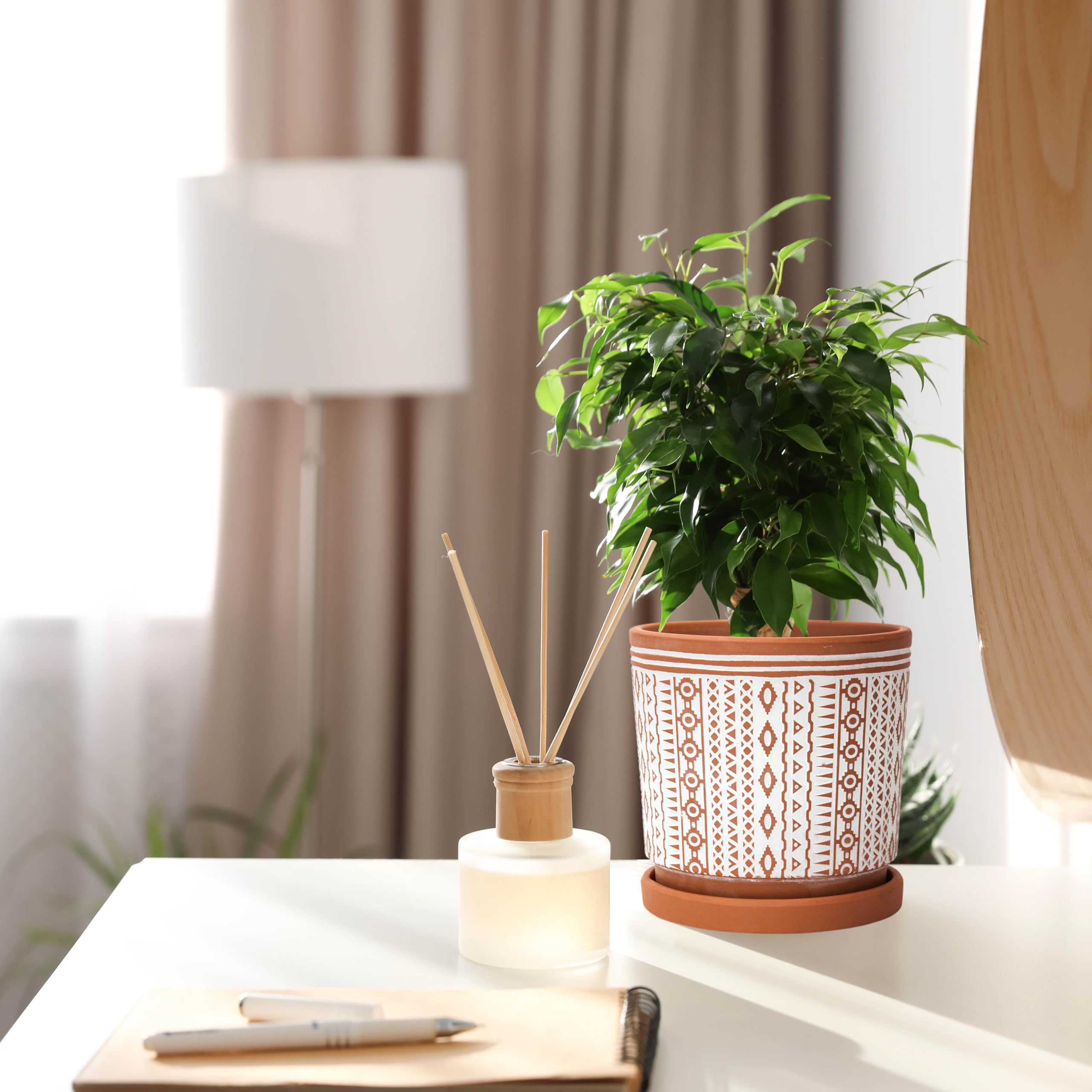 Amazon.co.jp: D'vine Dev テラコッタポット 2個セット 4インチ & 6